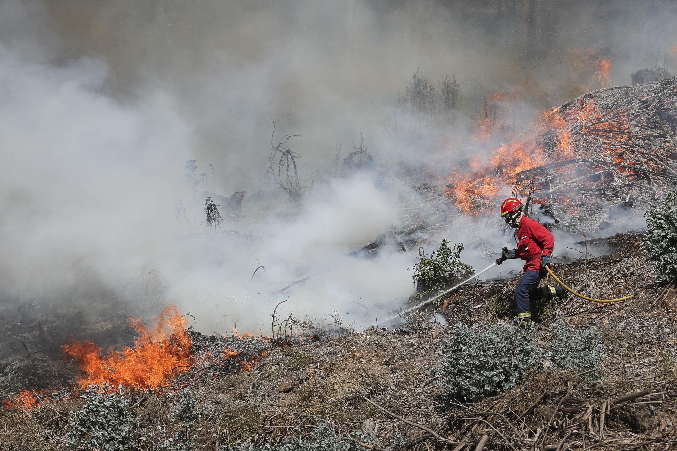 Incêndios: Fogo em Alvaiázere em fase de resolução