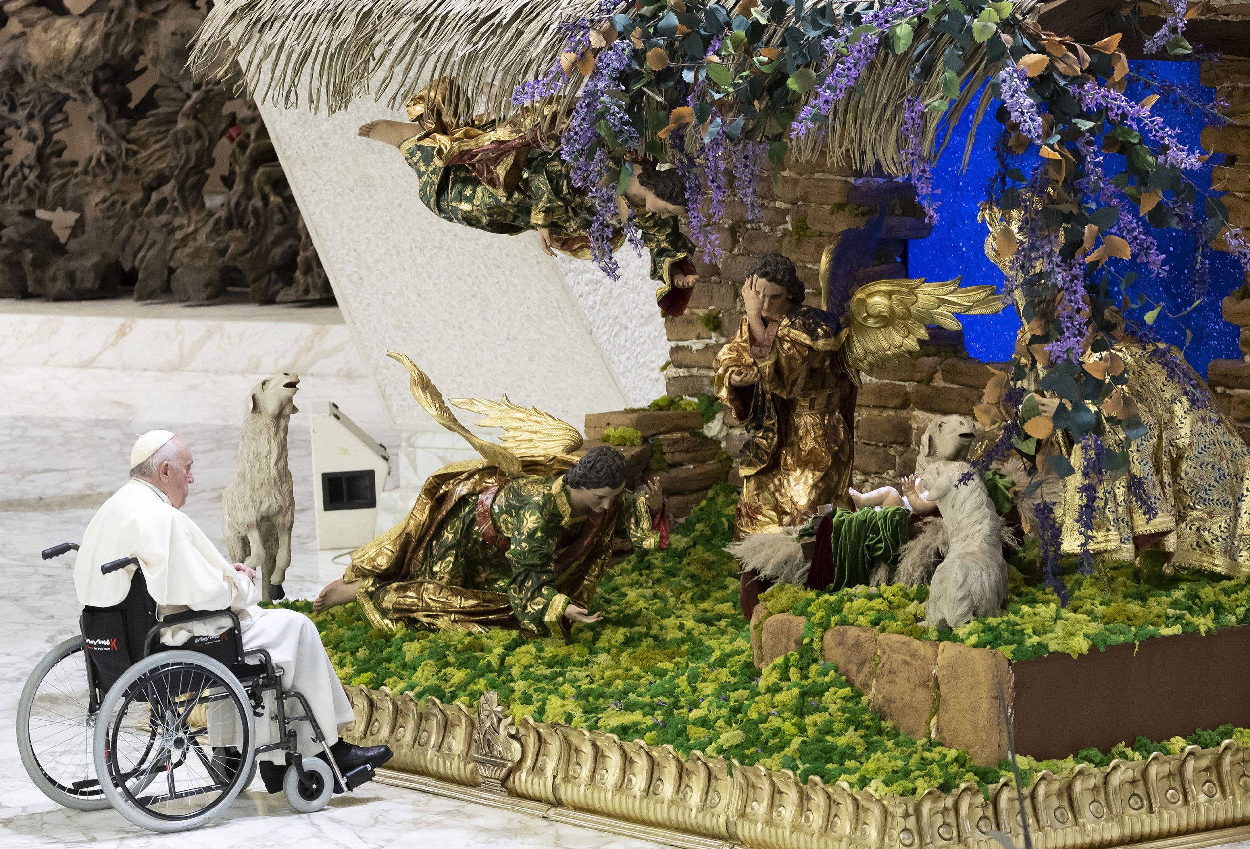 Natal no Vaticano. Papa Francisco diz que árvore e presépio “continuam a fascinar jovens e adultos”