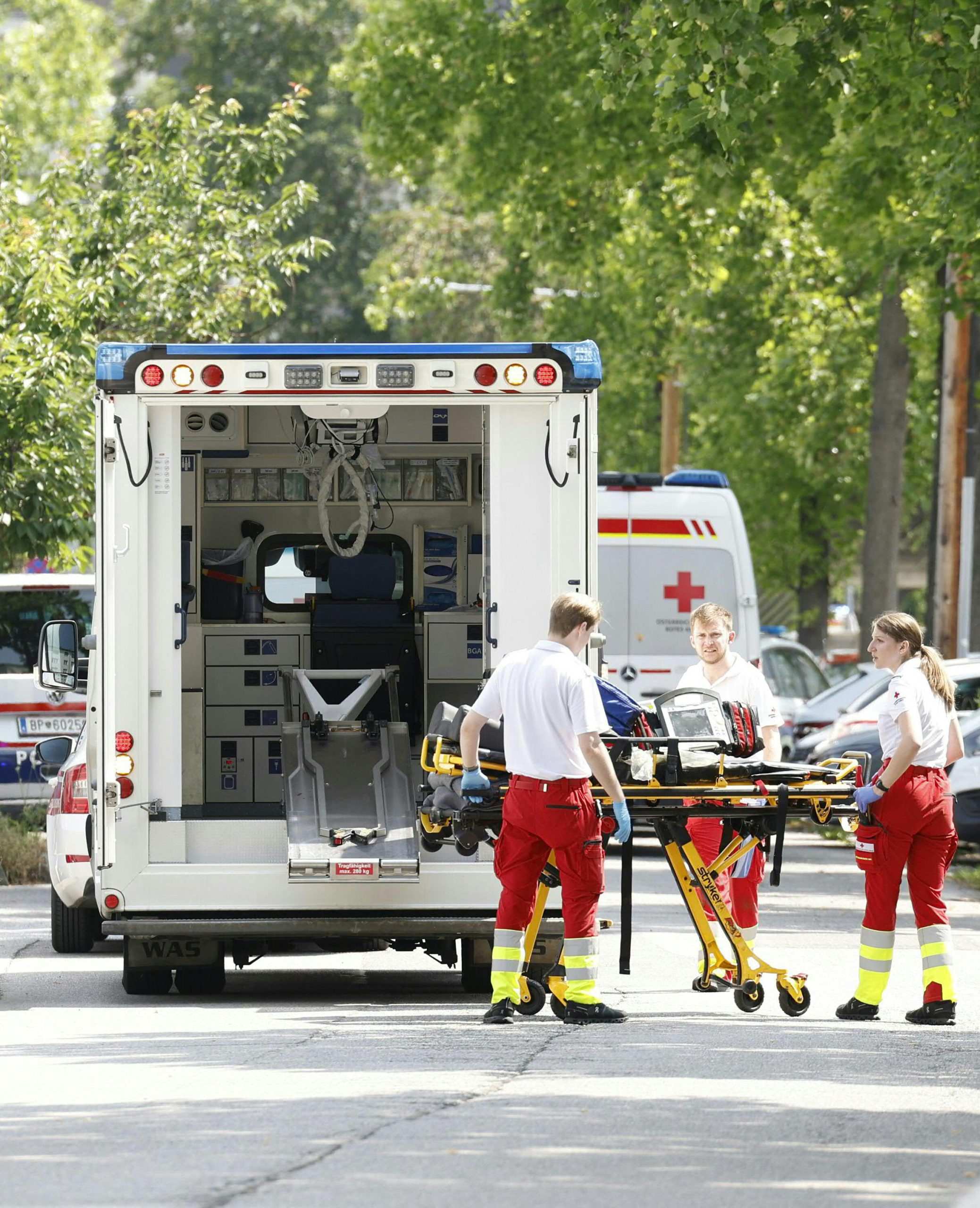 Dez mortos e mais de 20 feridos em ataque numa escola na Áustria