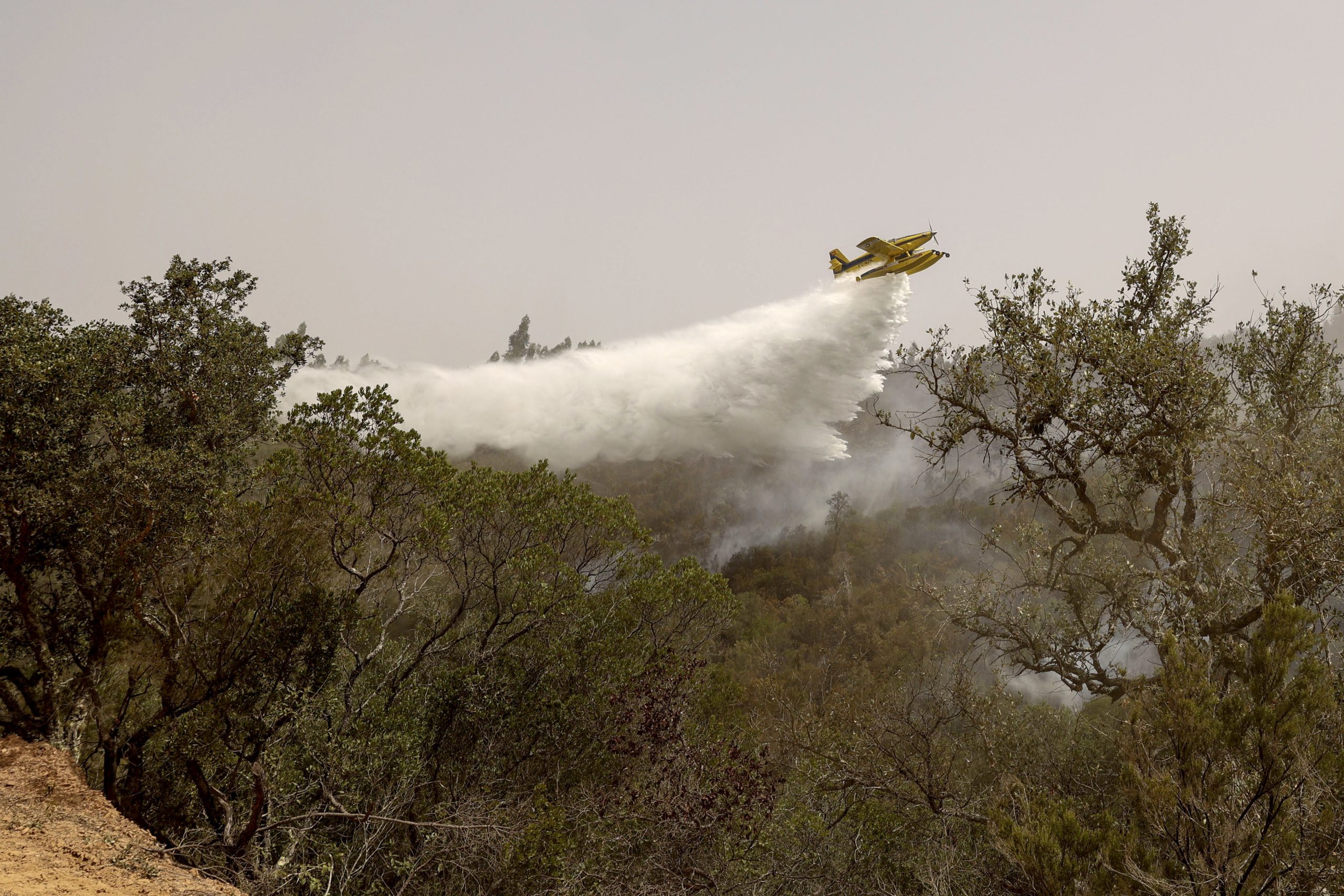 Dispositivo de combate a incêndios no Médio Tejo mantém estrutura operacional para fase mais crítica