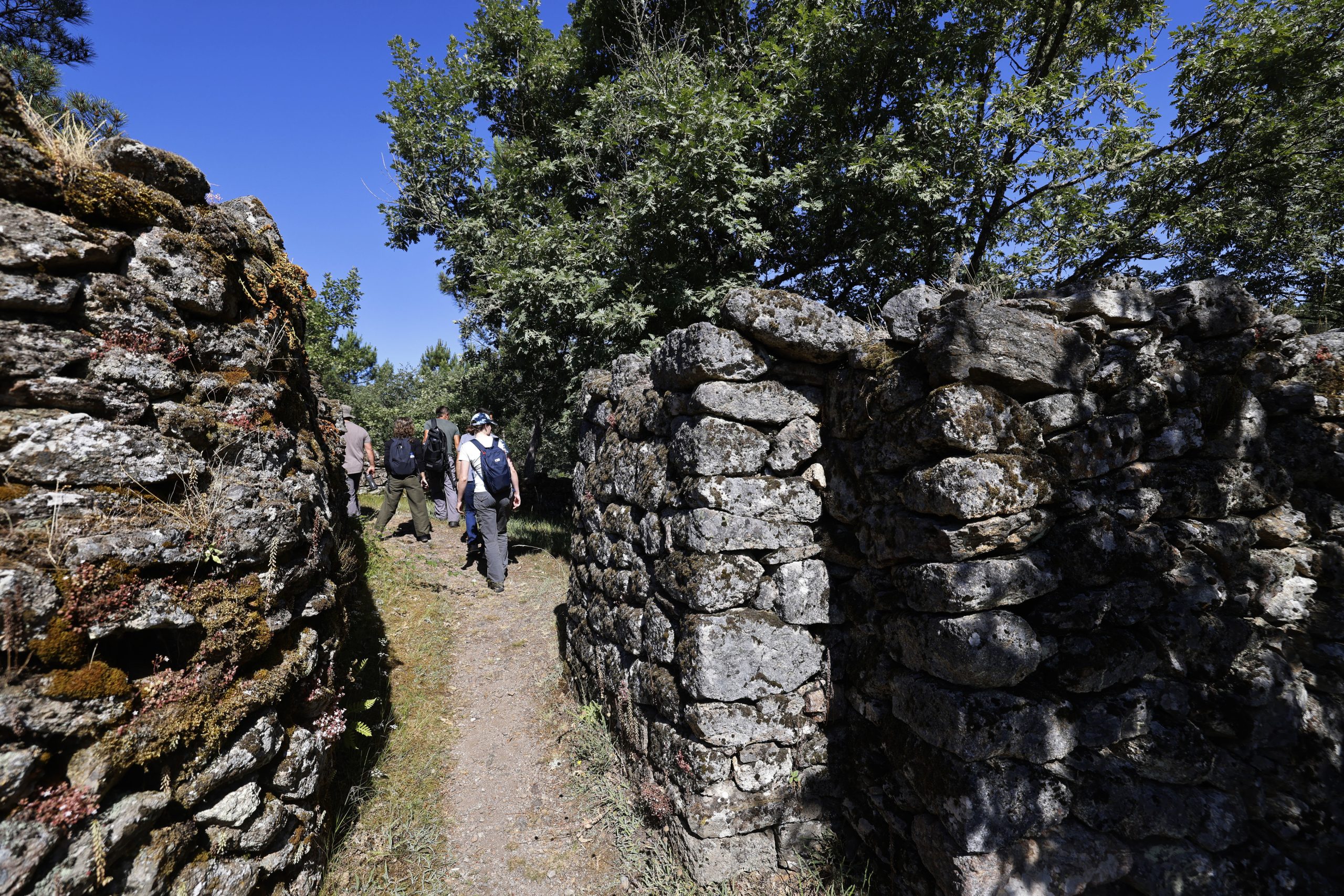 Castros do Barroso: Entre Boticas e Montalegre há uma nova história a ser descoberta