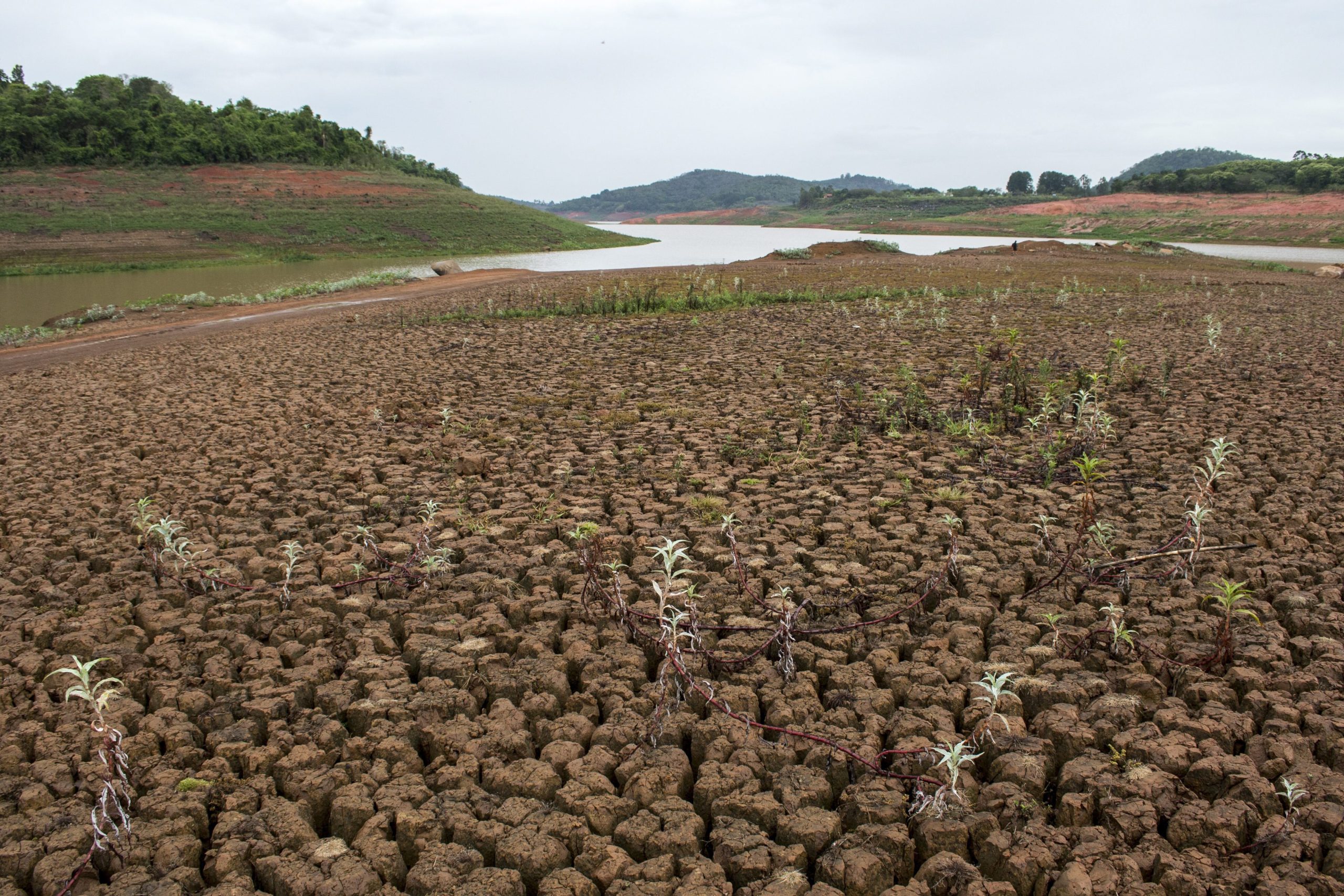 Cientistas alertam para solos que podem deixar de absorver para passar a emitir dióxido de carbono