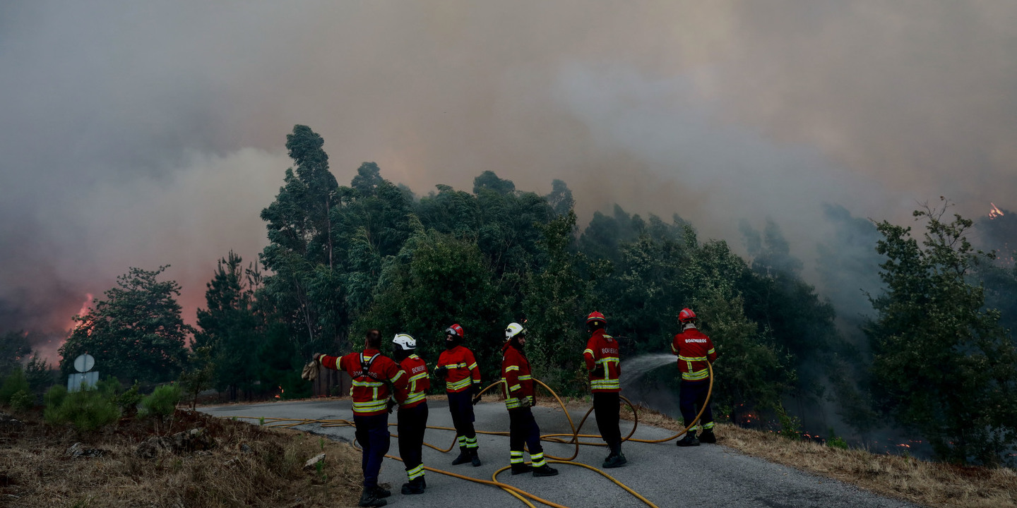 Advogados revelam que incêndio de 2020 em Santo Tirso matou 93 animais e não 73