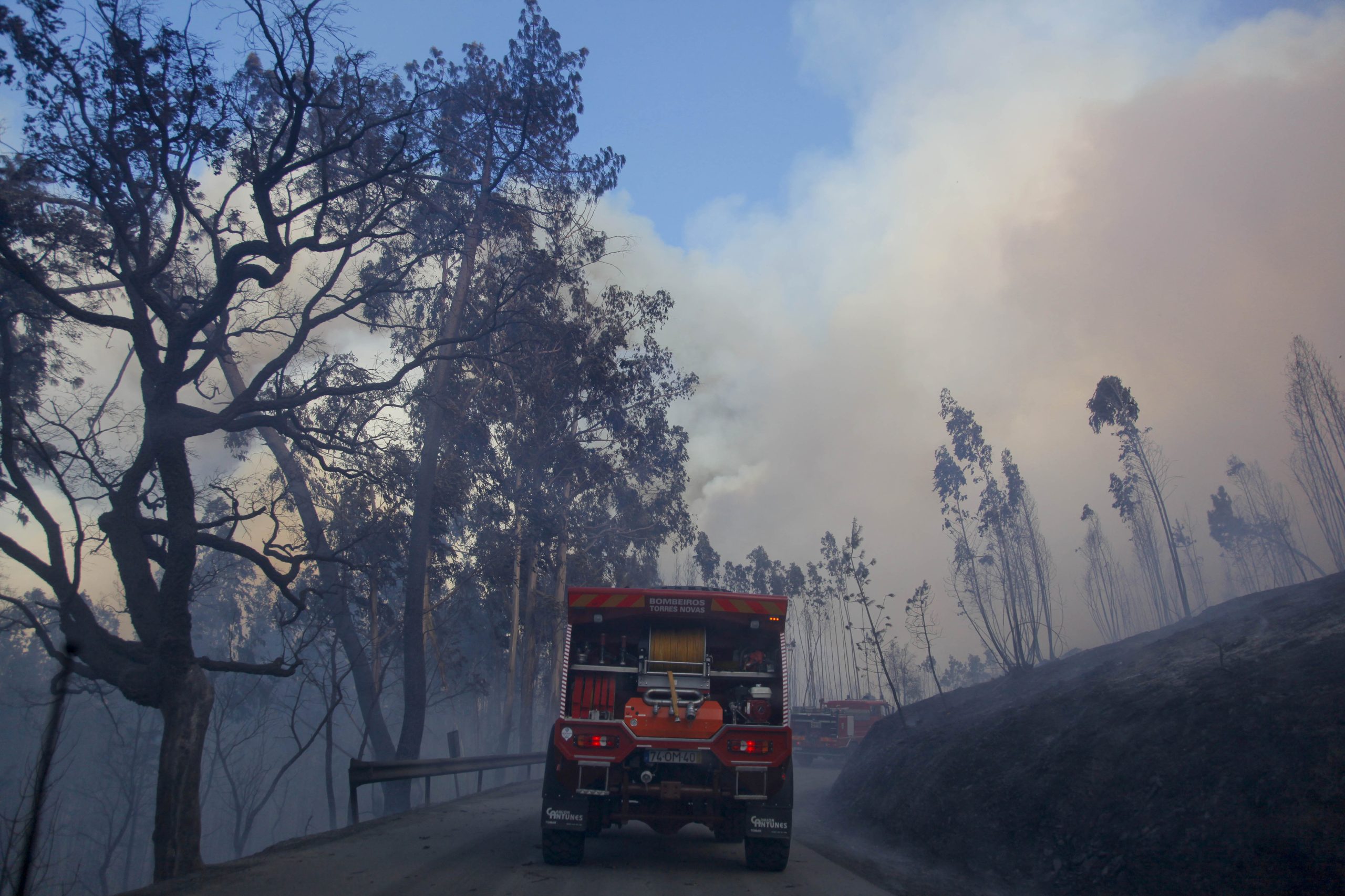 Incêndios: Homem detido na Figueira da Foz por suspeita de fogo posto
