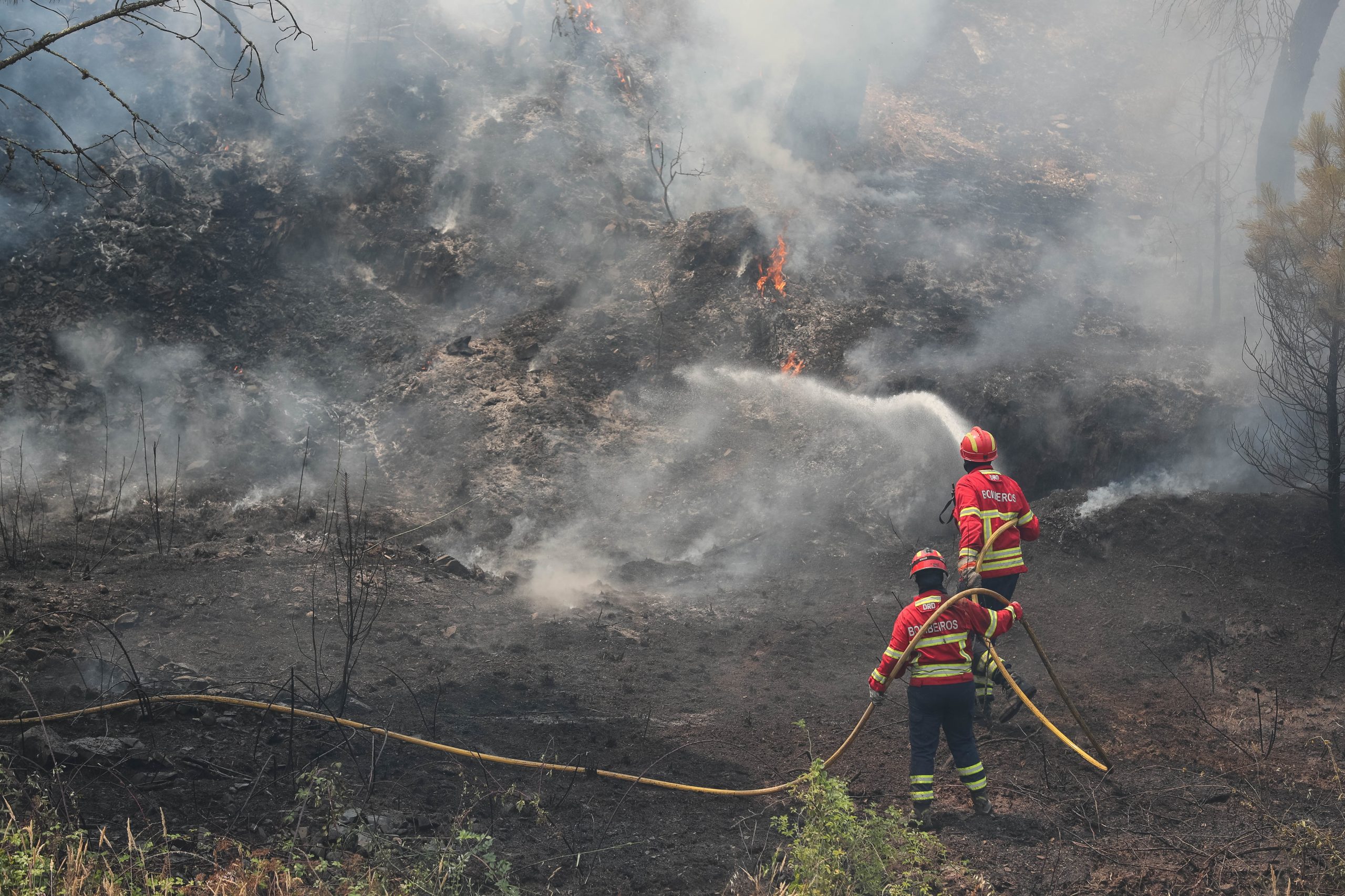 Incêndios. Proença-a-Nova de prevenção caso seja atingido por fogo de Vila de Rei