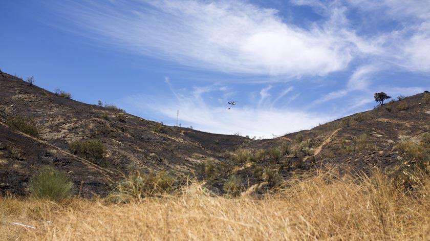 Concelhos de seis distritos em risco máximo de incêndio
