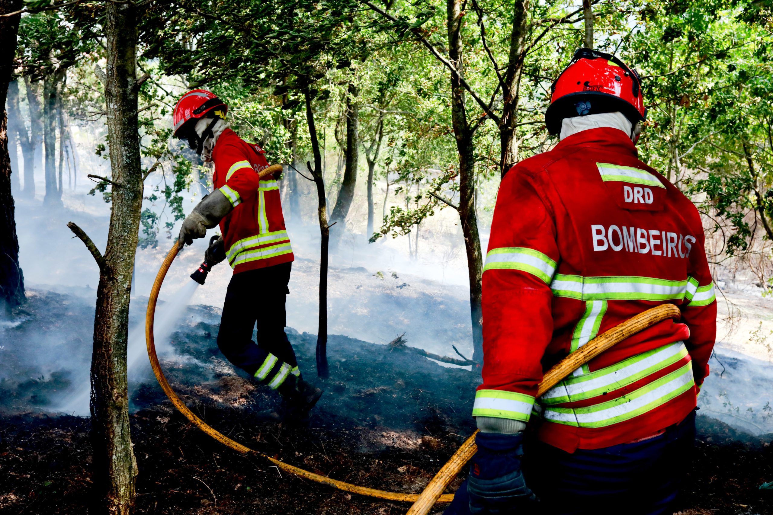 Três pessoas desalojadas após incêndio de habitação em Viseu