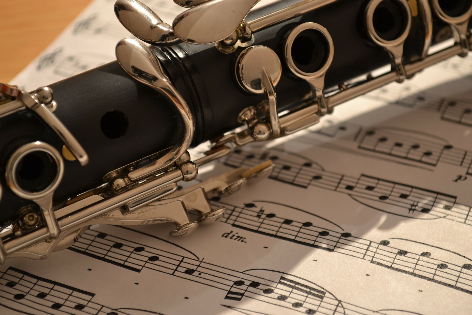 Câmara de Loures aprova proposta para se tornar na “capital do clarinete”