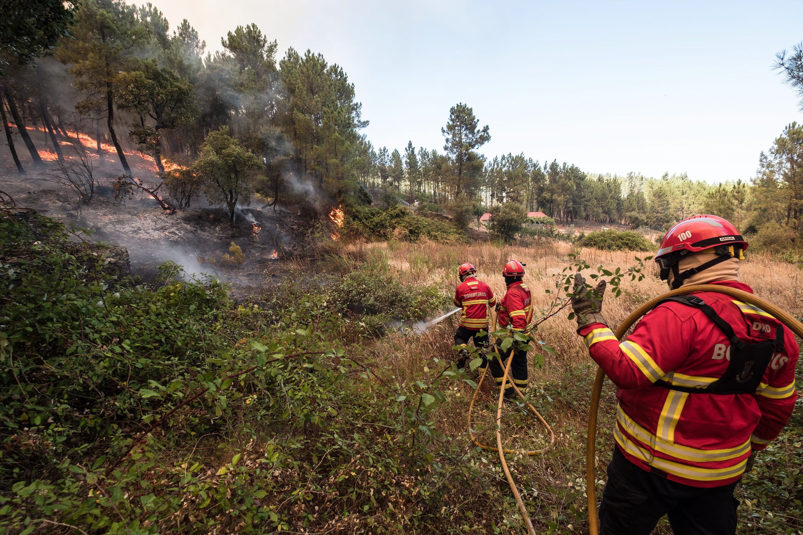 Incêndio em Mação: Aldeia de Casas da Ribeira evacuada