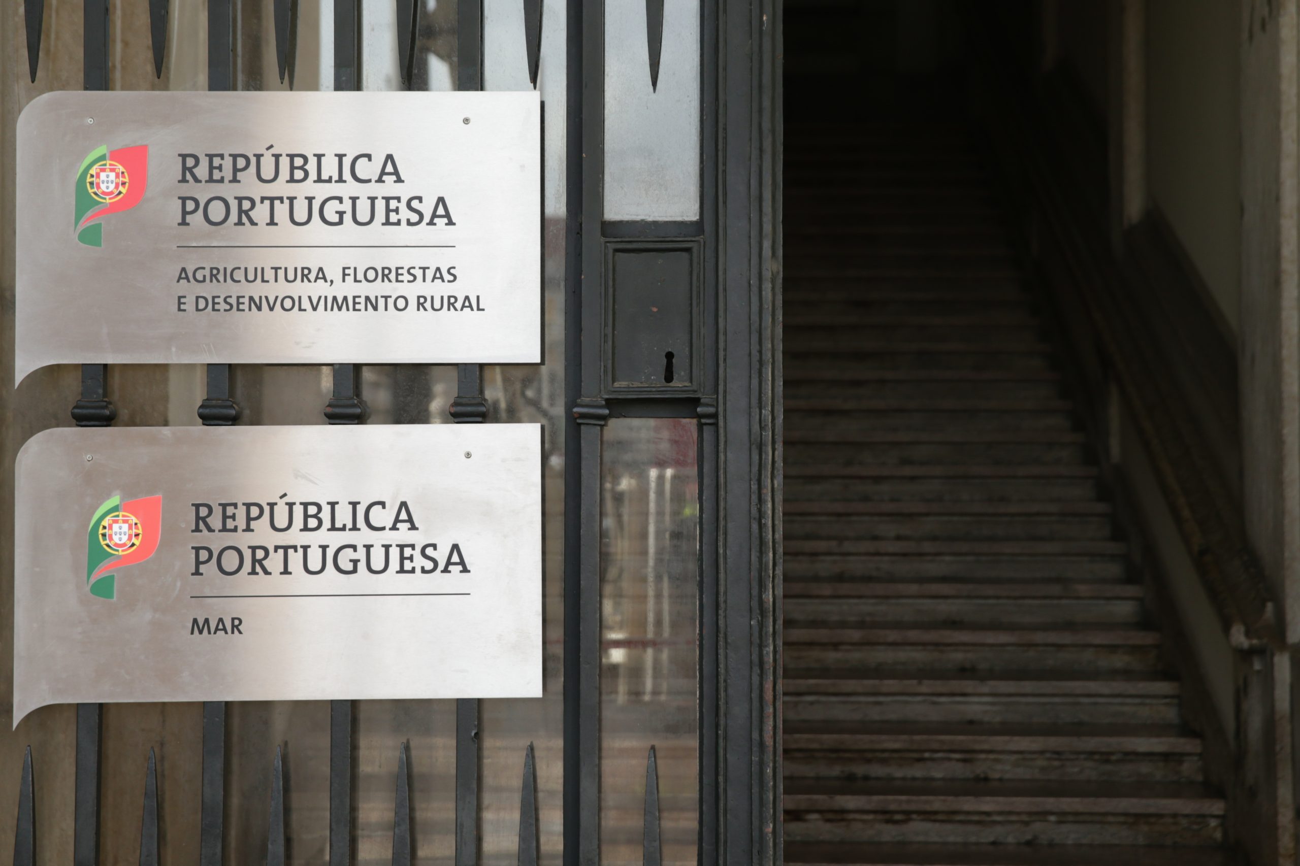 Despesa do Ministério da Agricultura sobe para 2.085,6 milhões de euros em 2025