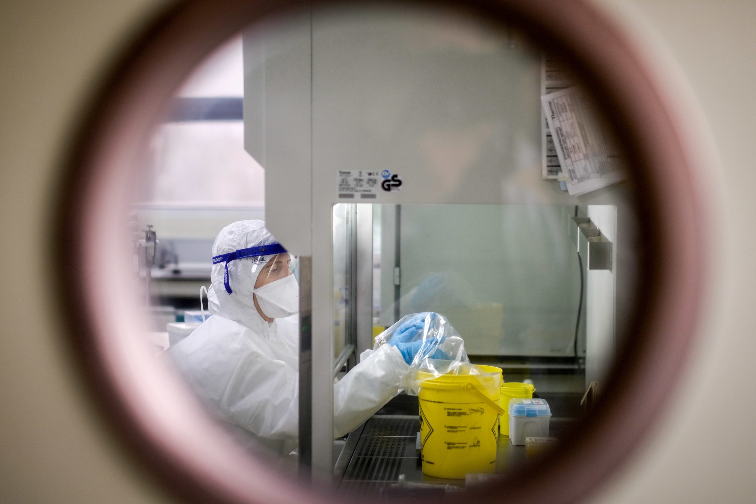 Teste rápido para detetar bactérias e resistência a antibióticos em desenvolvimento em Portugal
