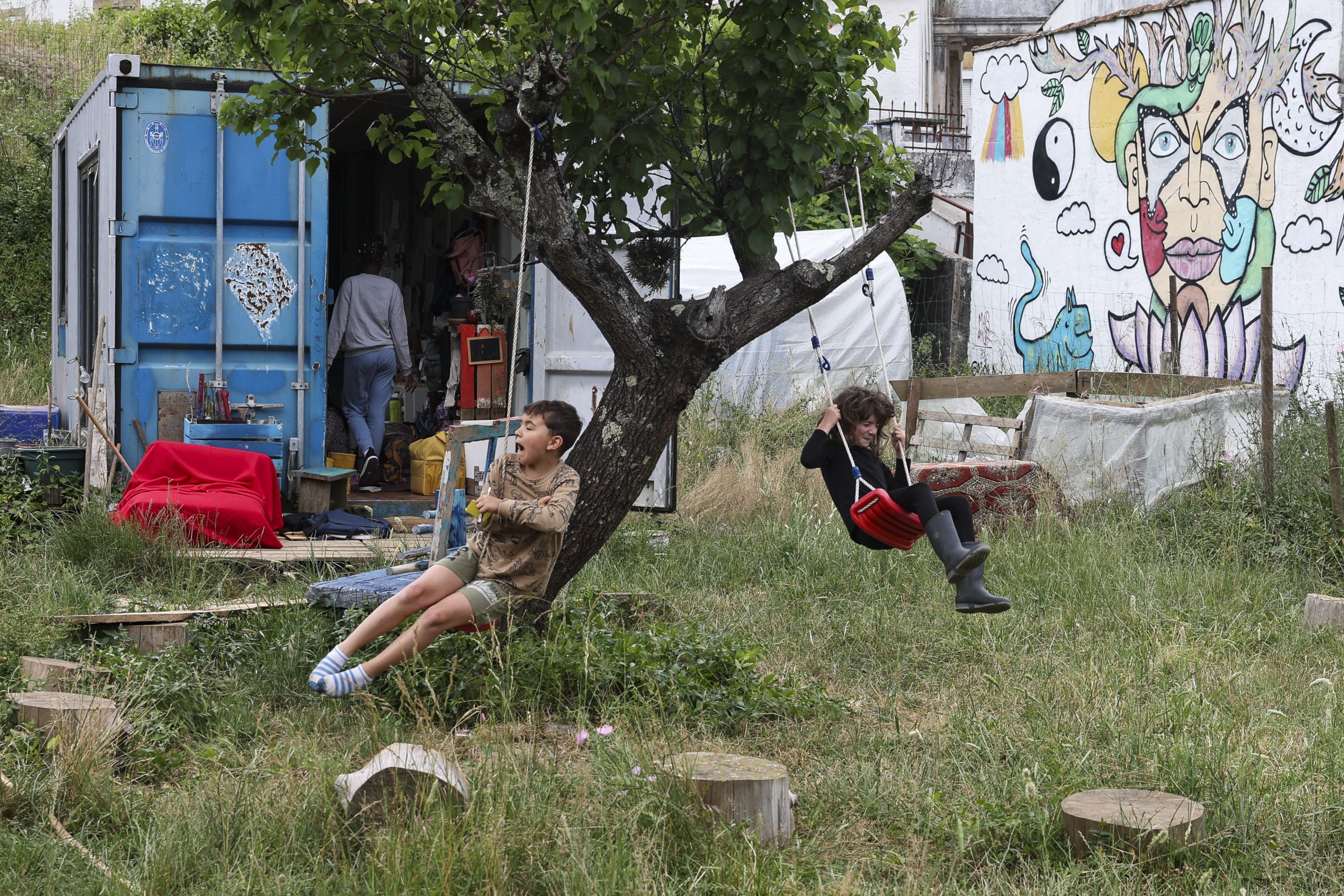Quinta em Coimbra resgata animais e promove ensino alternativo