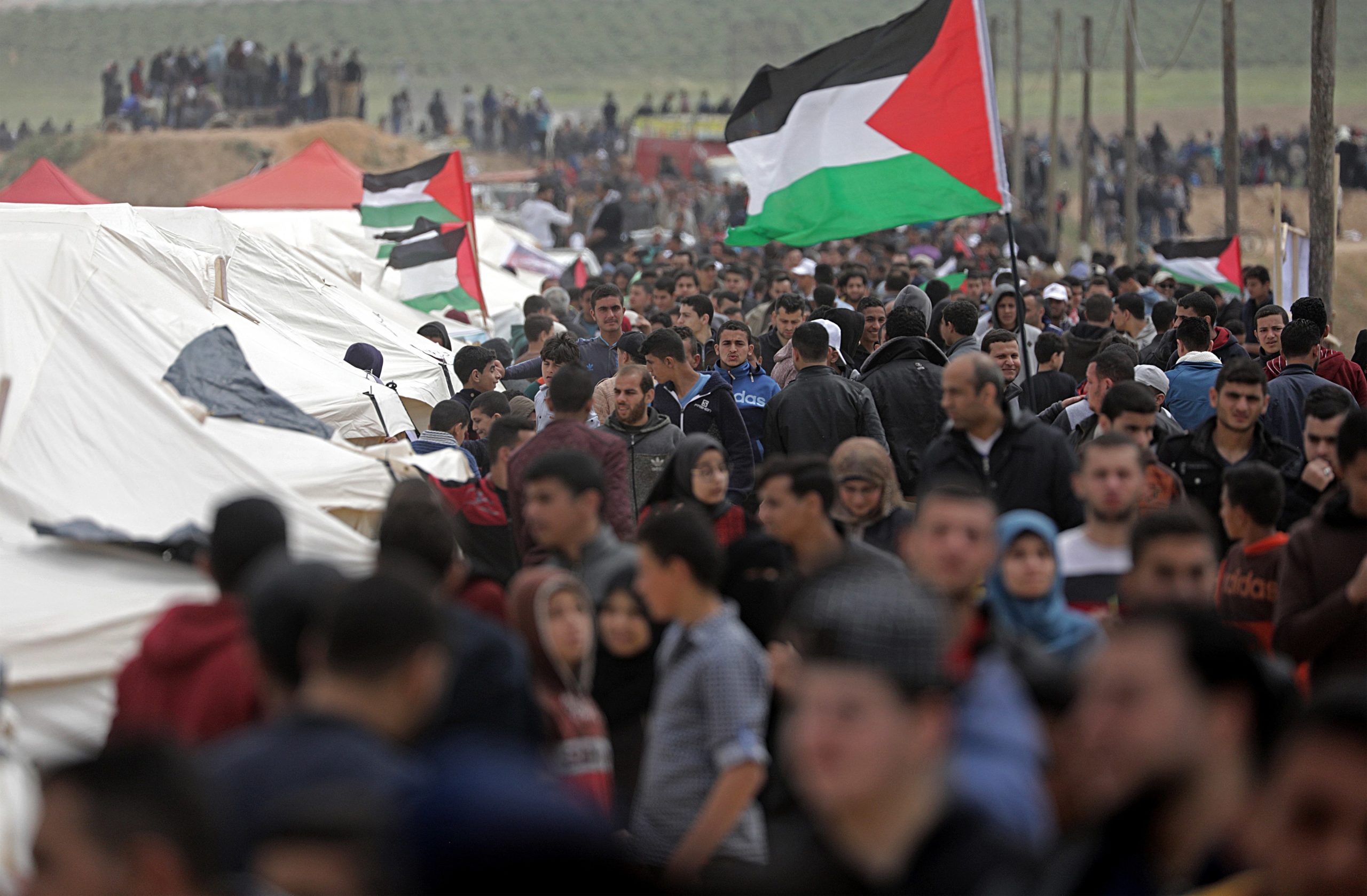Parlamento condena “violência desproporcional” de Israel
