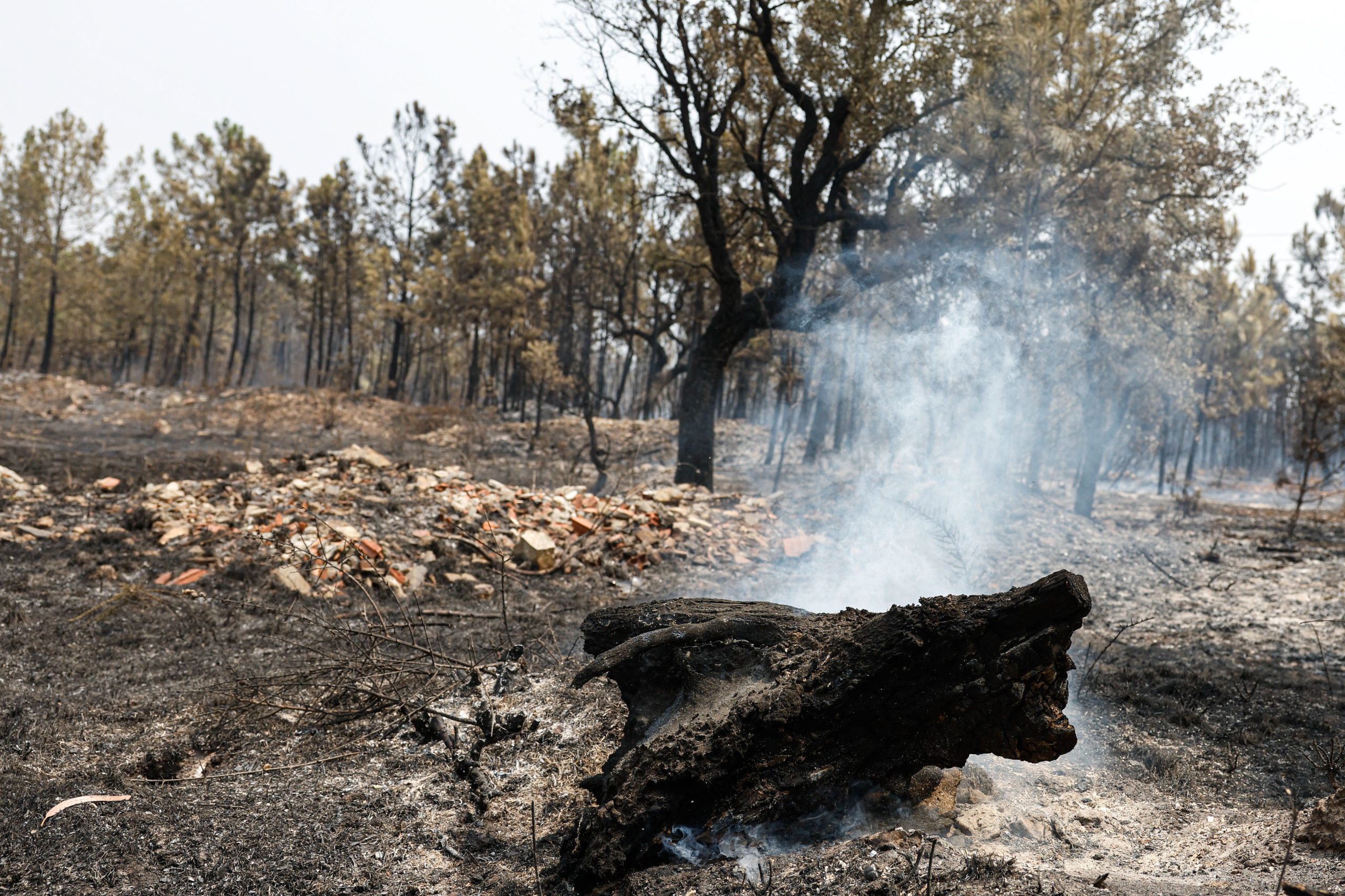 Incêndios: Dez concelhos de Portalegre e Faro em risco máximo de incêndio