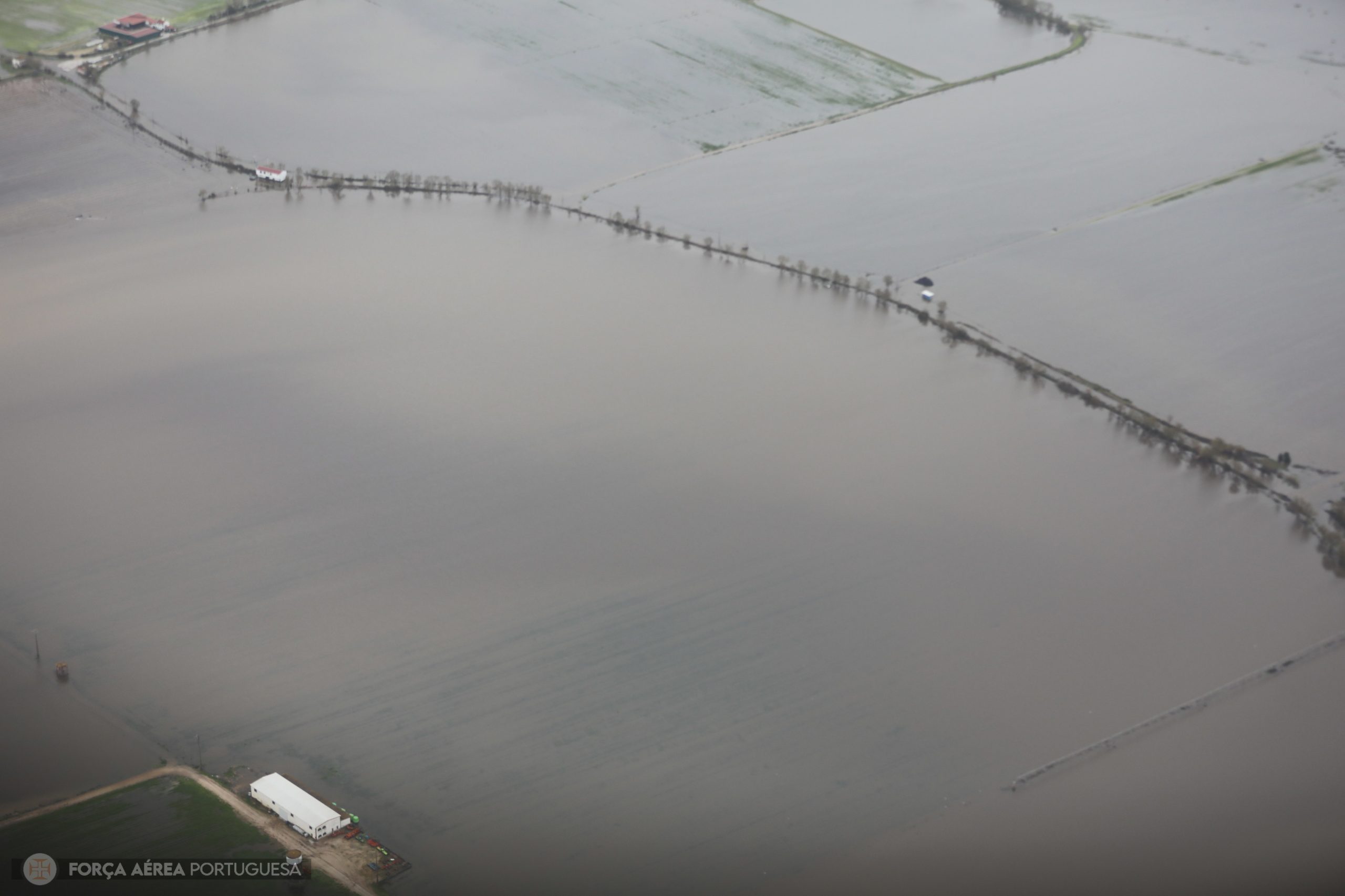 Caudal do rio Mondego em Montemor-o-Velho apresenta descida significativa