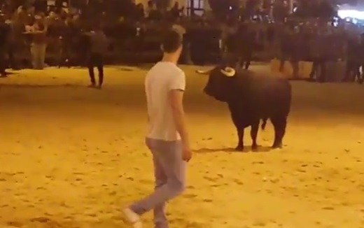 Dois homens colhidos por toiros na primeira largada das Festas da Moita