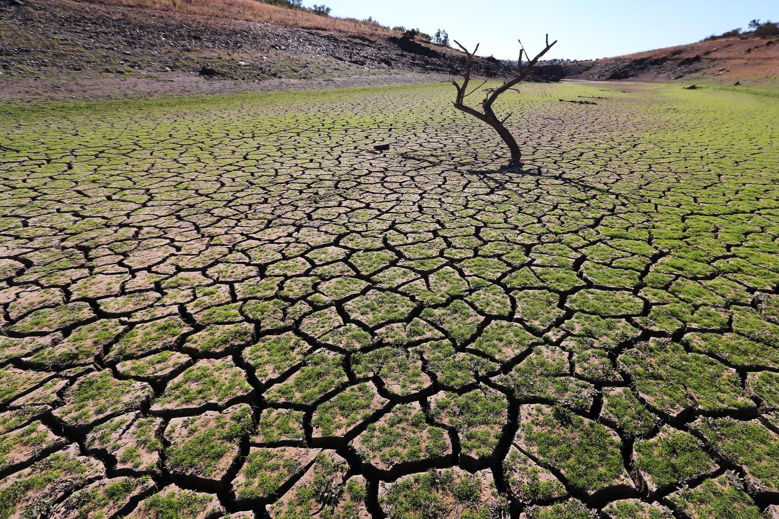 Agricultores dizem que ajuda do Governo para a seca “ainda não chegou”
