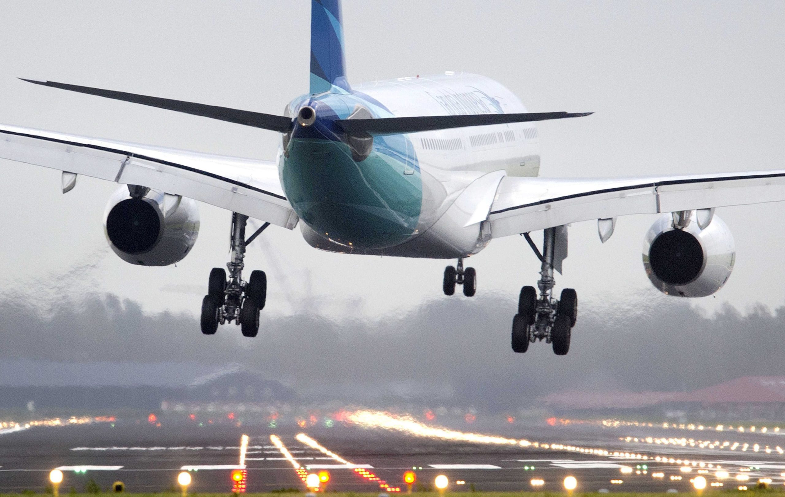 Ave entra no reator e obriga avião a regressar ao aeroporto Sá Carneiro