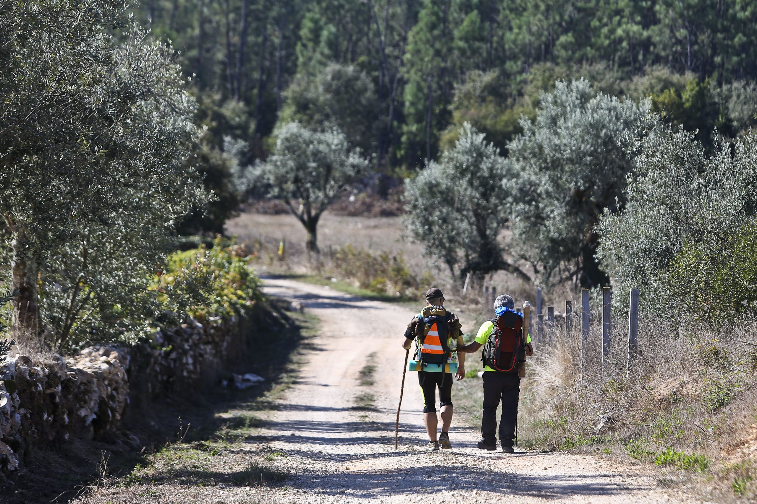 Caminho Português da Costa para Santiago de Compostela é 2.º itinerário mais percorrido na Galiza