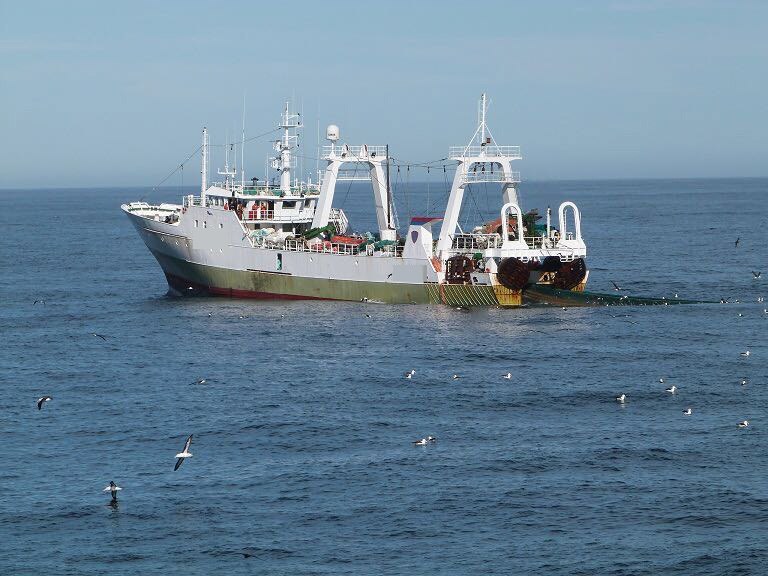 Armadores das Pescas satisfeitos com aumento nas quotas mas querem mais apoios