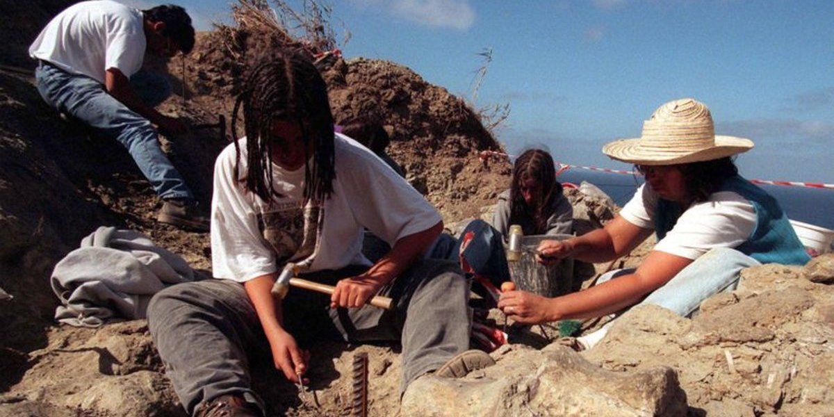 Nova moeda de coleção, dedicada a achados de dinossauros na Lourinhã, entra em circulação quinta-feira