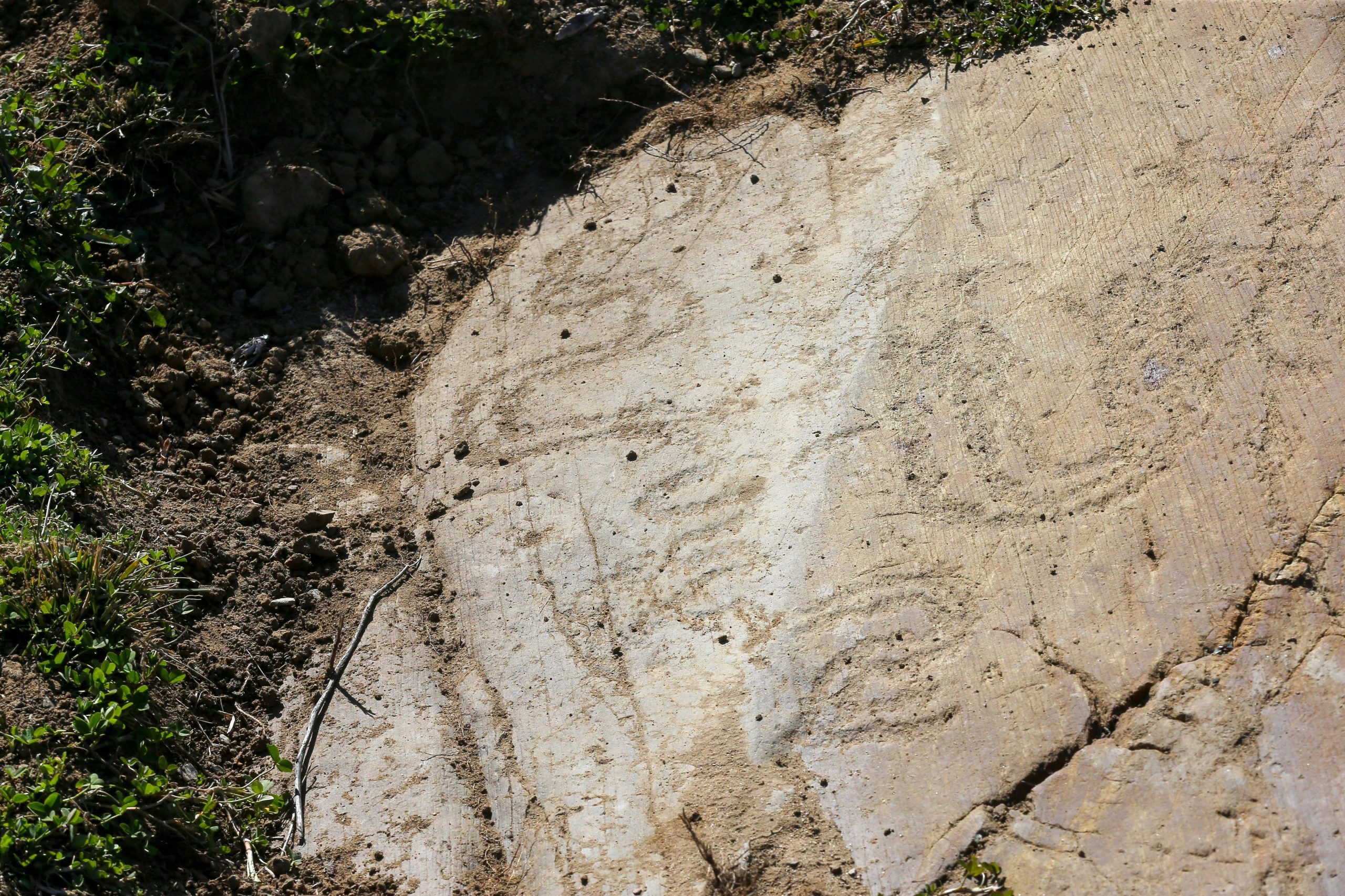 Há novas descobertas arqueológicas da Arte Rupestre do Côa