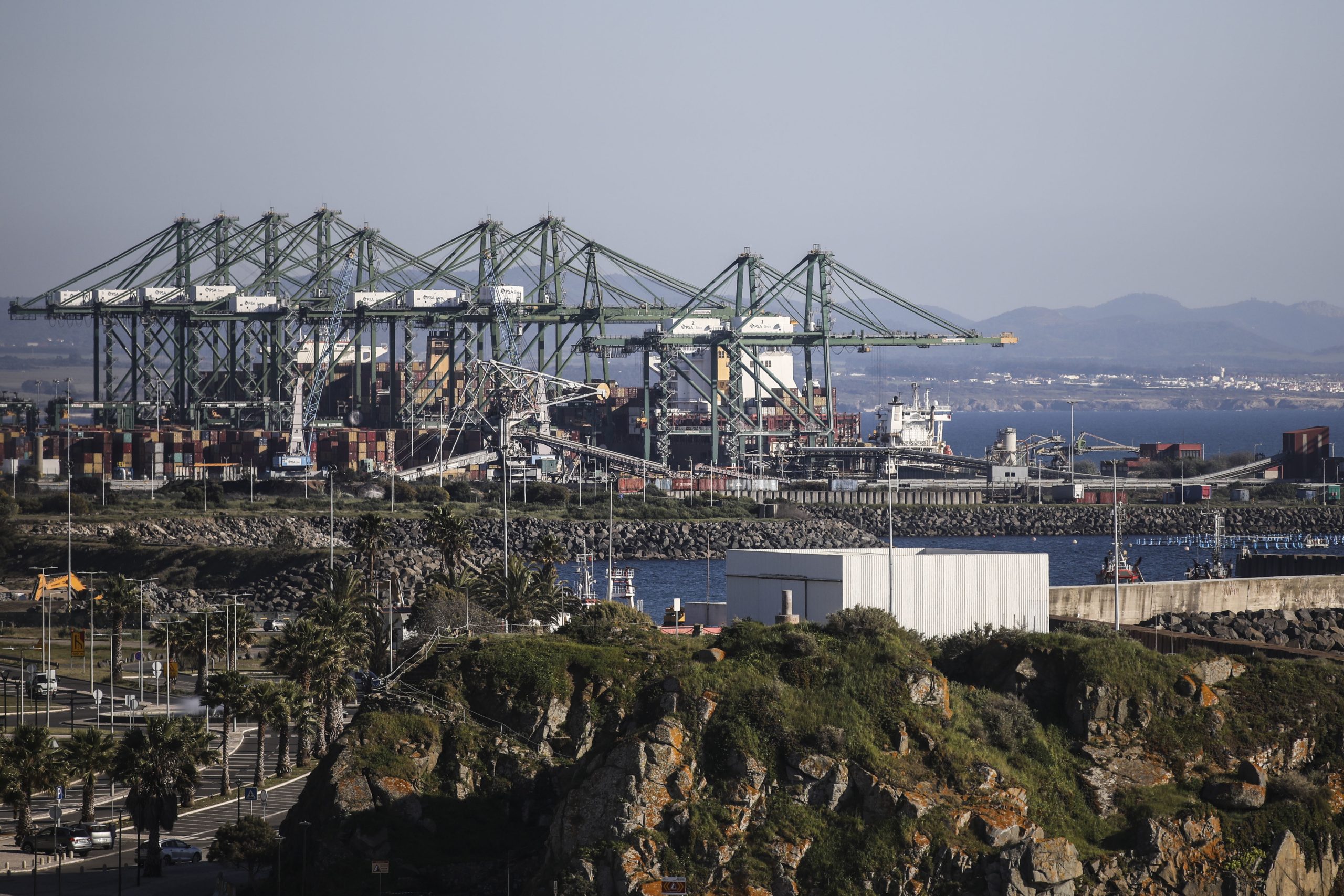 Ativistas no Porto de Sines: “Vai ser a maior ação de desobediência civil em Portugal”