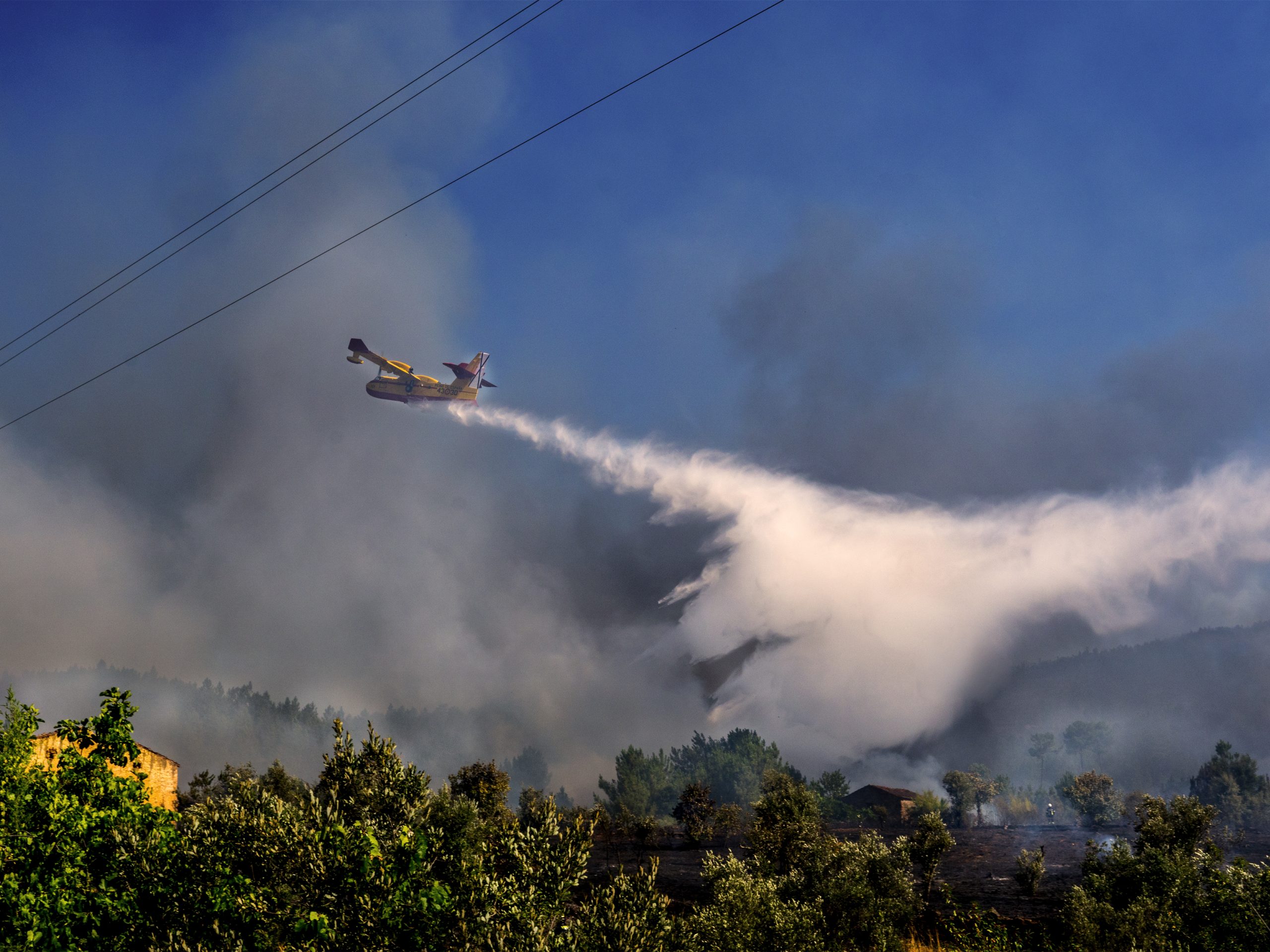 Fogo em Lagos dominado e circulação na A22 restabelecida
