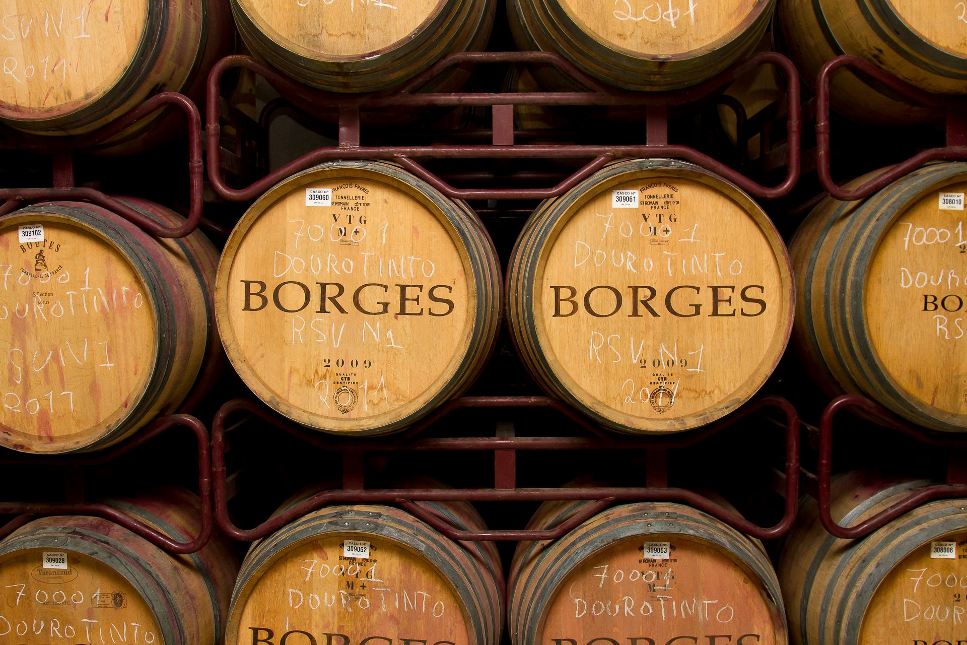 Vinhos Borges investem meio milhão no Douro