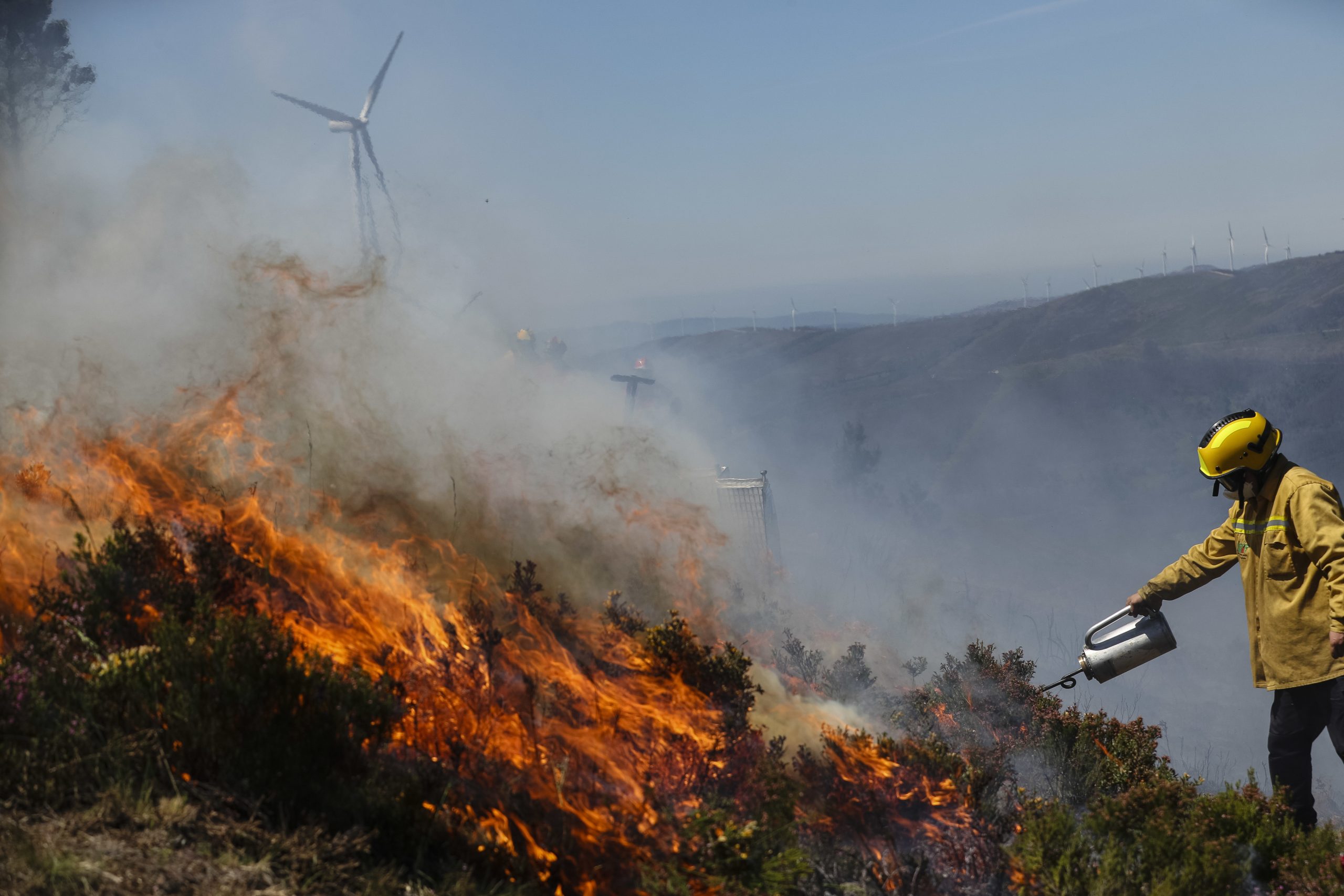 Incêndios. Fuzileiros da Marinha em ações de vigilância em Setúbal e Faro