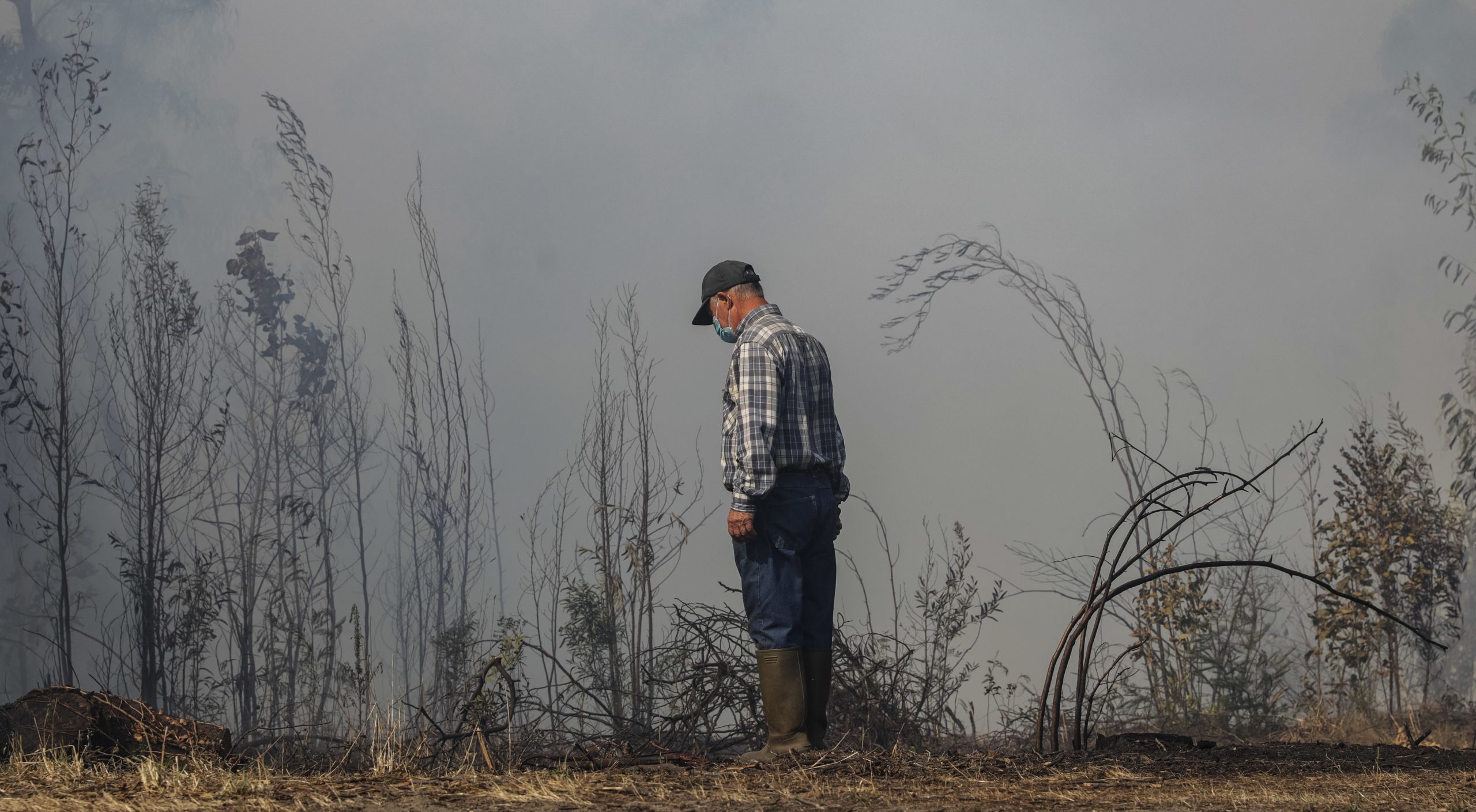 Incêndios: Fogo que deflagrou em Oliveira de Frades em rescaldo e consolidação
