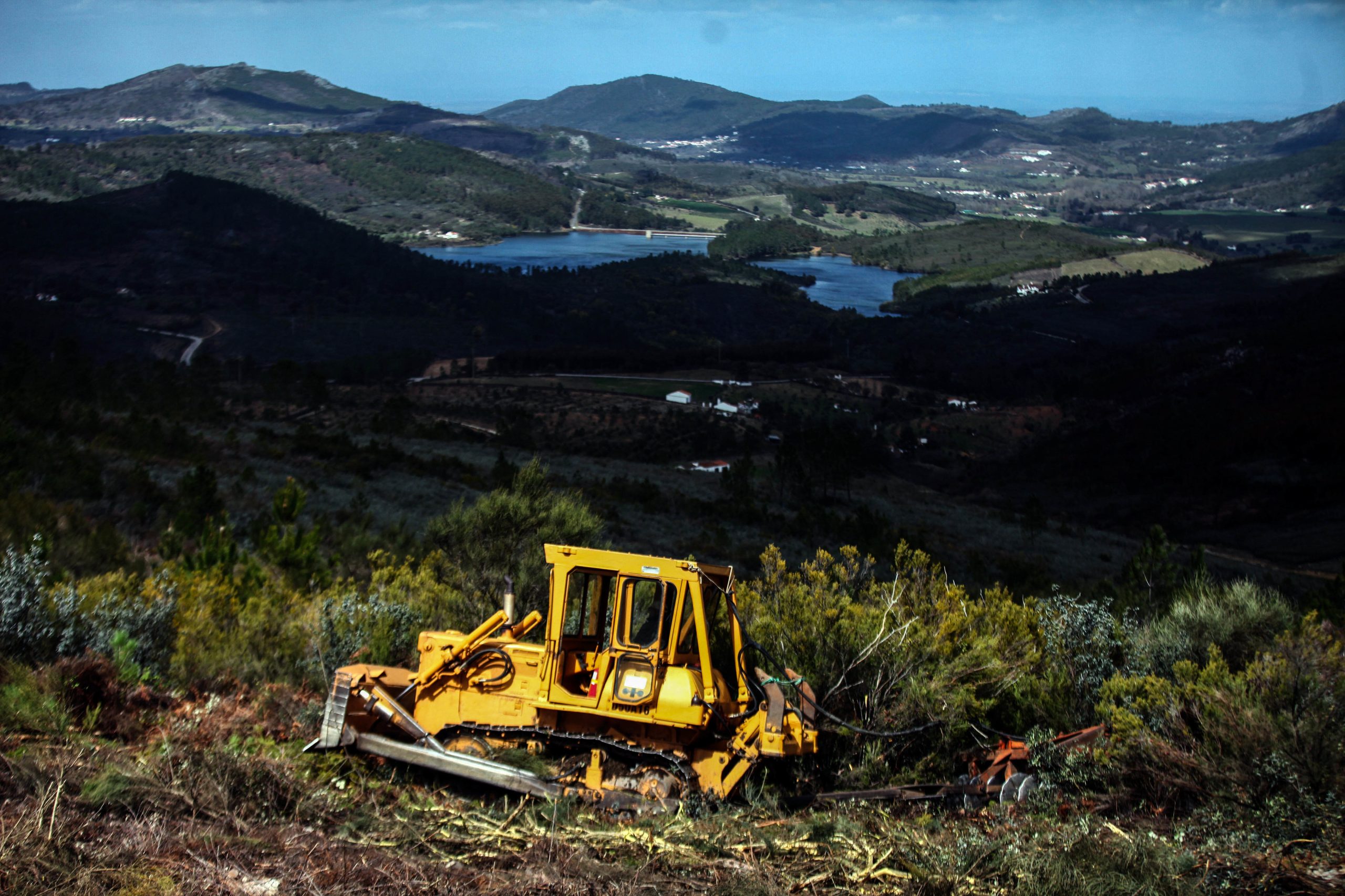 Incêndios: Mais de 60 concelhos sem plano de defesa da floresta contra incêndios em vigor