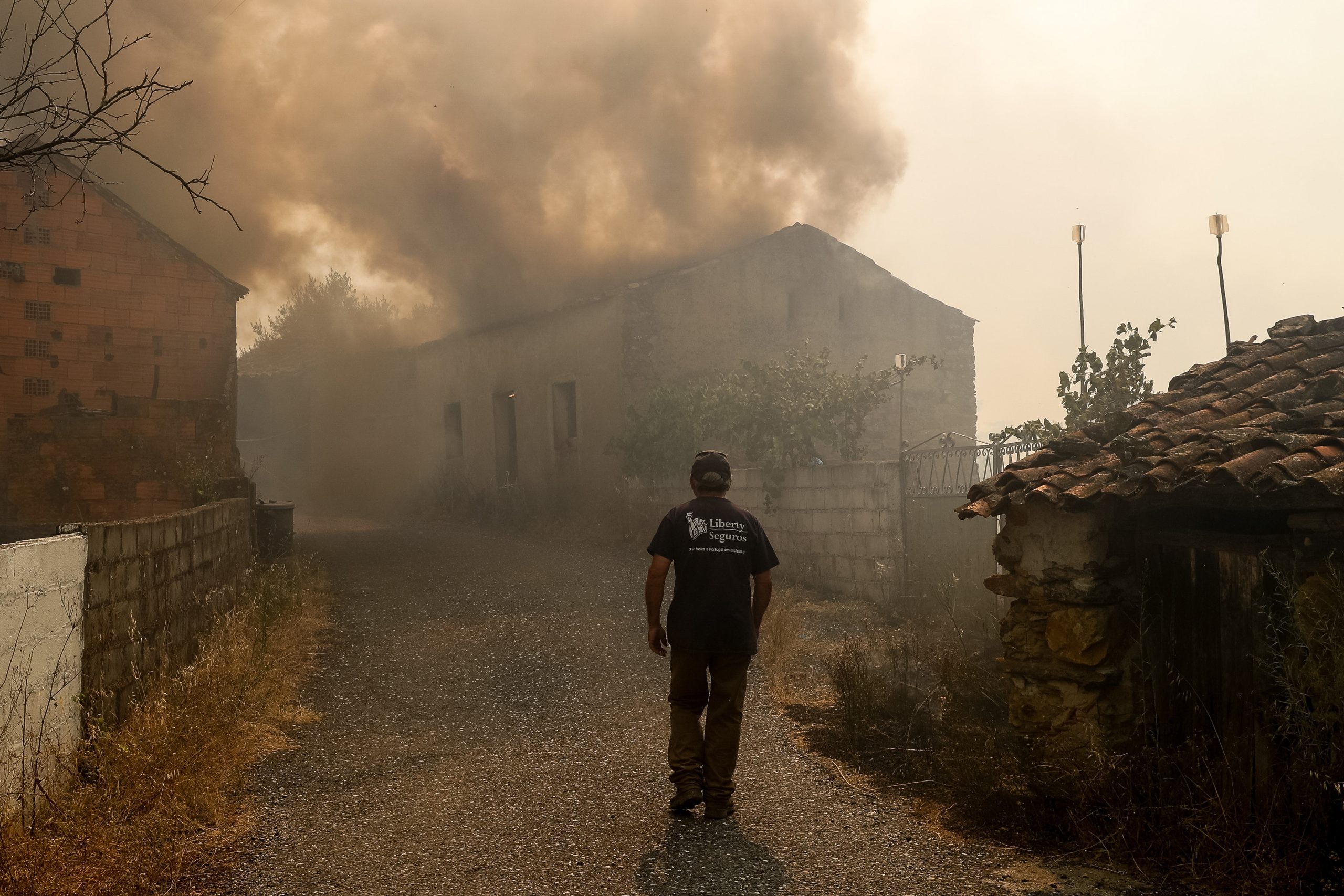 Incêndios. Proteção Civil conta ter fogo de Vila de Rei e Mação dominado durante a madrugada