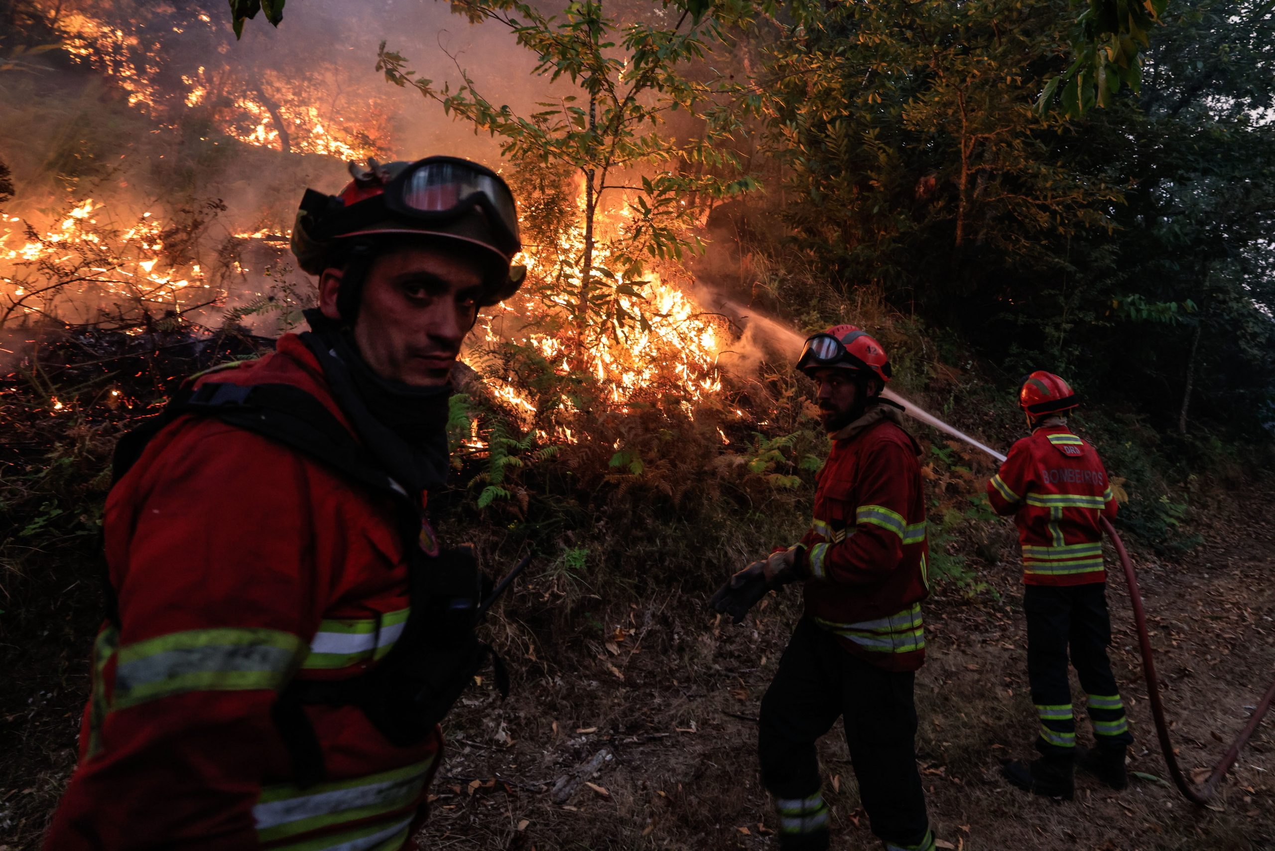 Mais de 100 feridos, sete mortes e 75 mil hectares ardidos em quatro dias