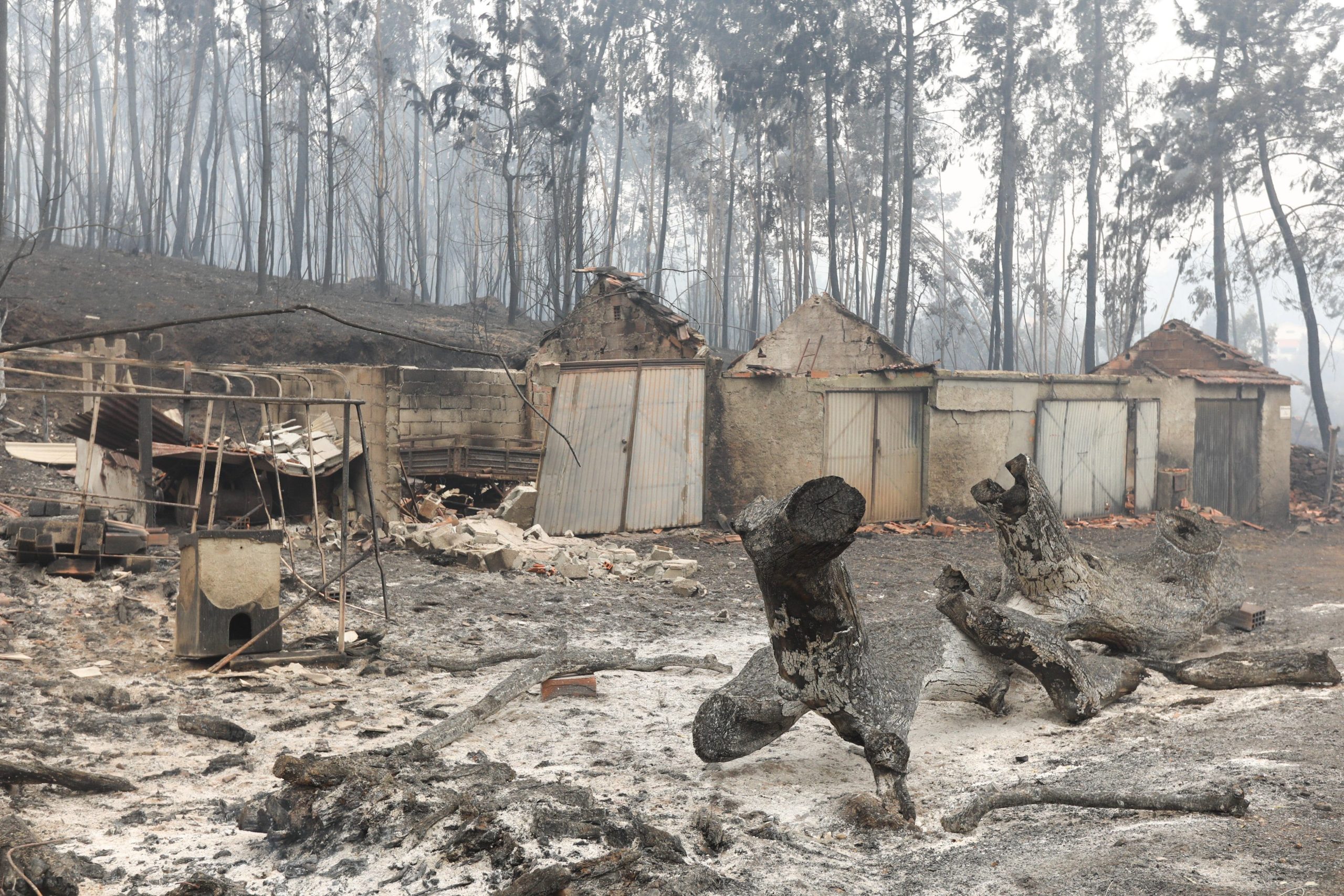 Pedrógão Grande: Advogados, engenheiros e arquitetos juntam-se para apoiar vítimas dos incêndios