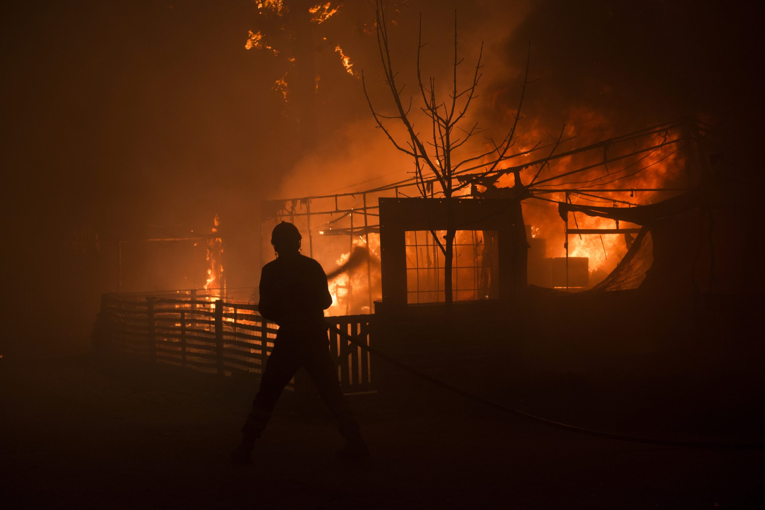 Incêndios: ‘Websérie’ sobre fogos de outubro de 2017 selecionada para festival argentino
