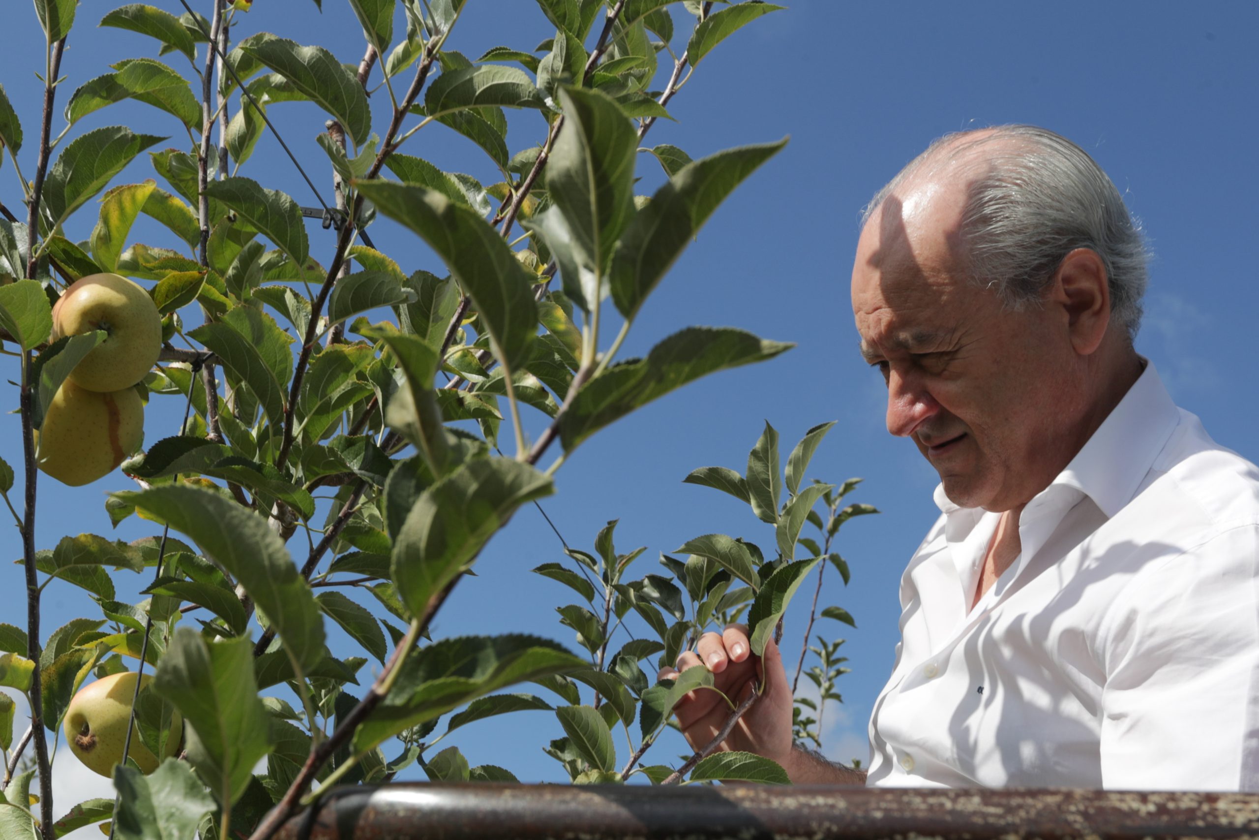 Rui Rio fala em “mistura” entre  funções de Costa primeiro-ministro e candidato