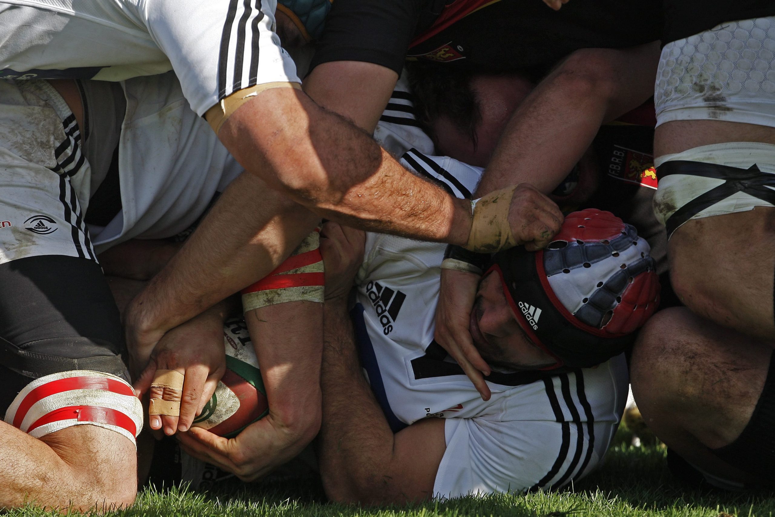 Rugby Europe Trophy: ‘Lobos’ vencem em Amesterdão e lideram isolados