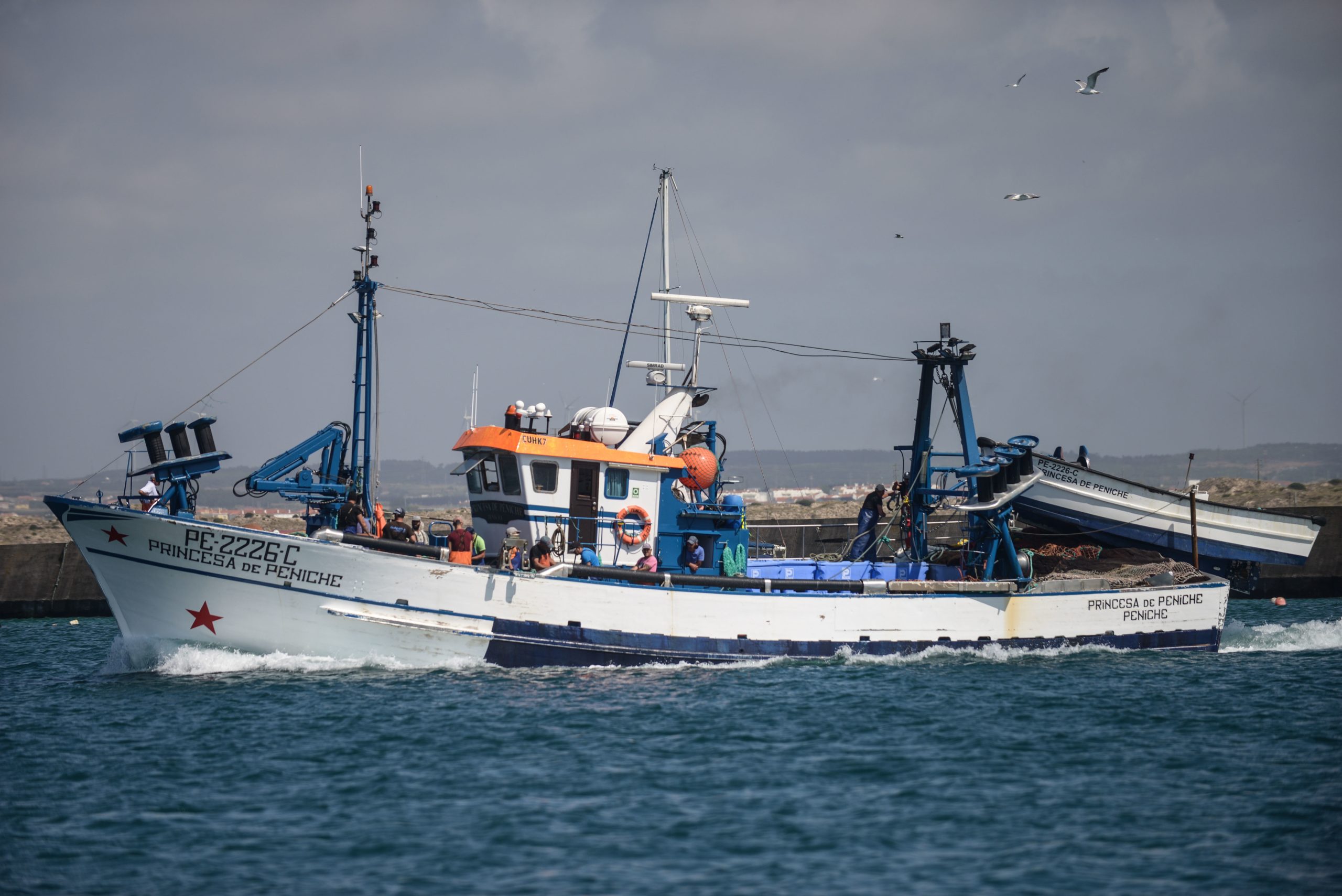 Pesca da sardinha proibida a partir de sábado