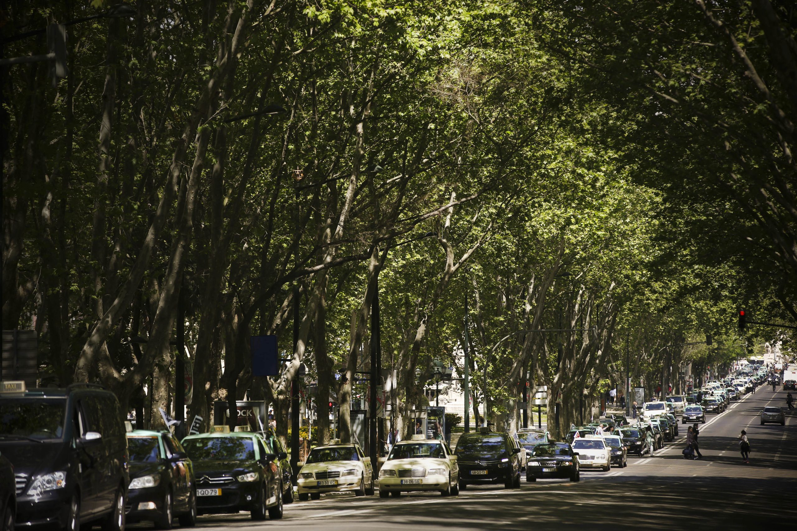 Taxistas querem integrar rede de abastecimento de emergência durante greve de motoristas