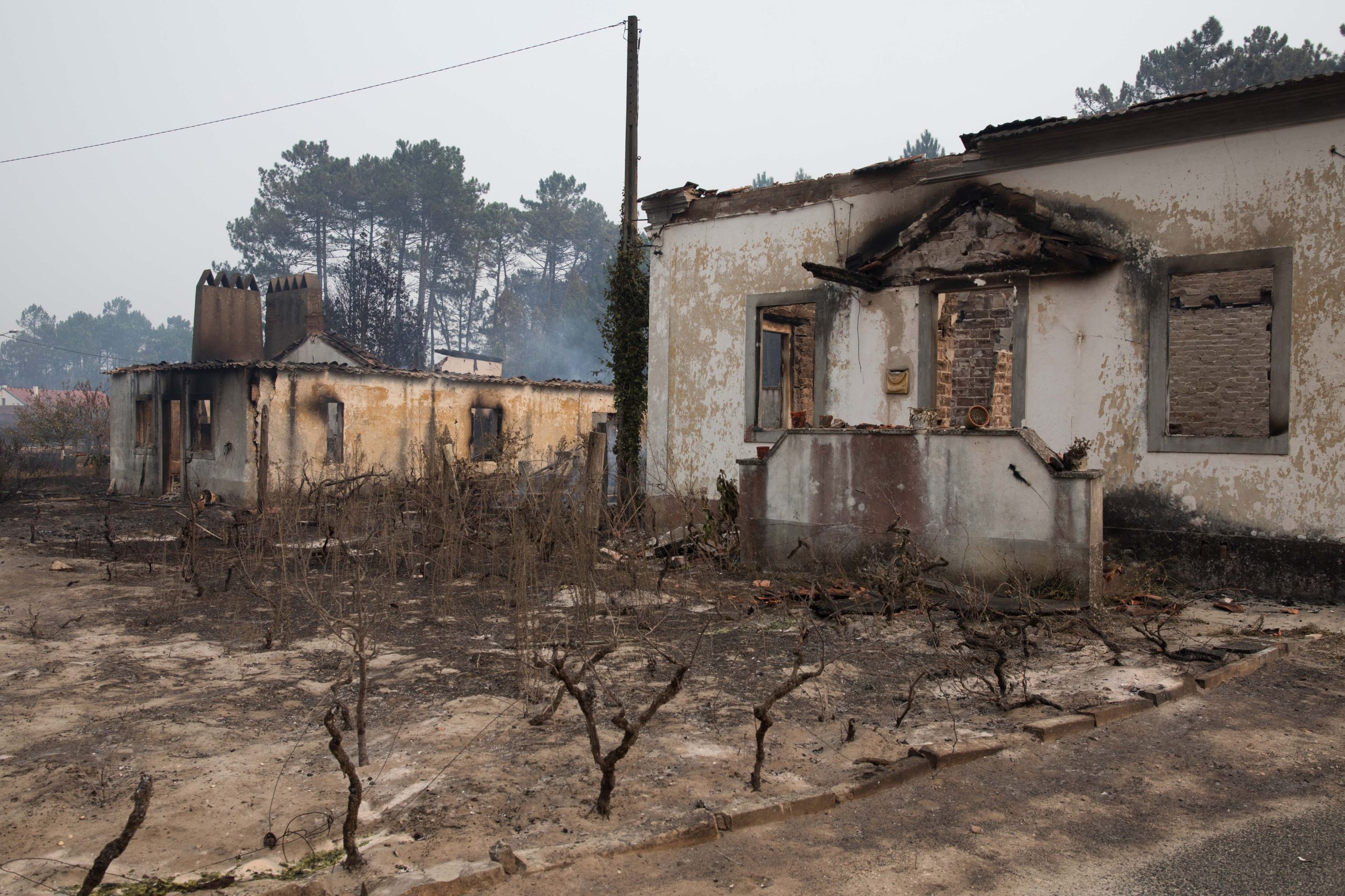 Incêndios. É “incompreensível” que ligações de comunicações “não estejam totalmente retomadas”, diz Anacom