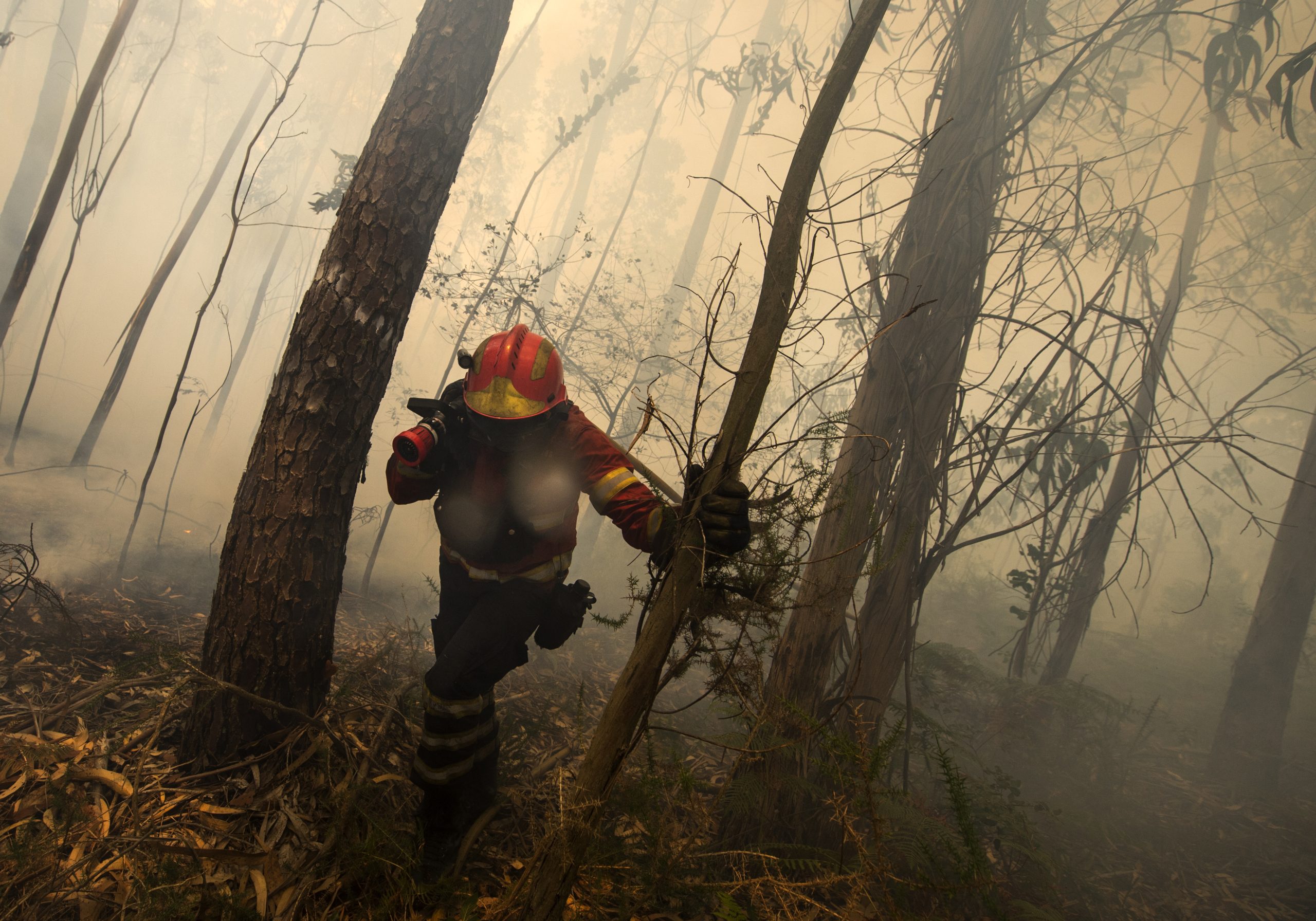Cinco incêndios preocupam as autoridades. Em Chaves já arderam cinco mil hectares