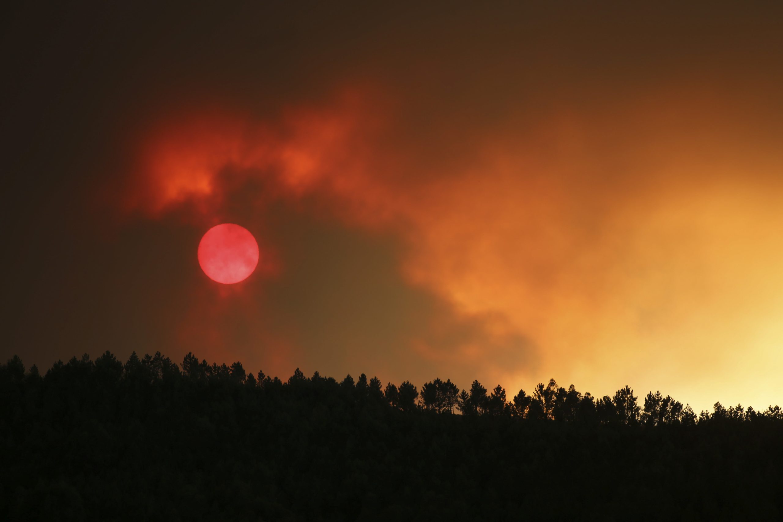Atenção durante a Páscoa. Proteção Civil alerta para perigo de incêndios rurais nos próximos dias