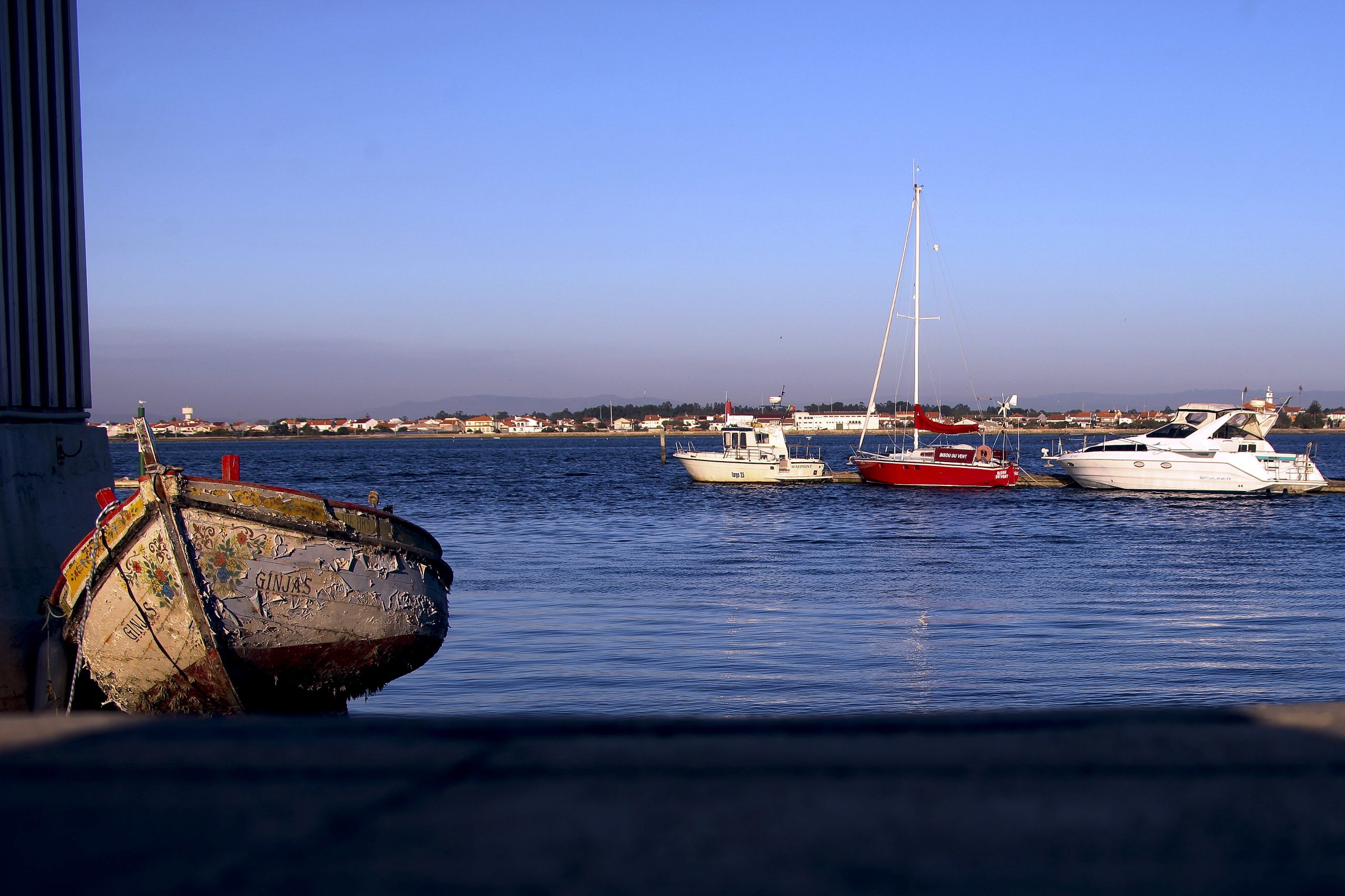Movimento MARIA denuncia novo atentado ambiental na Ria de Aveiro