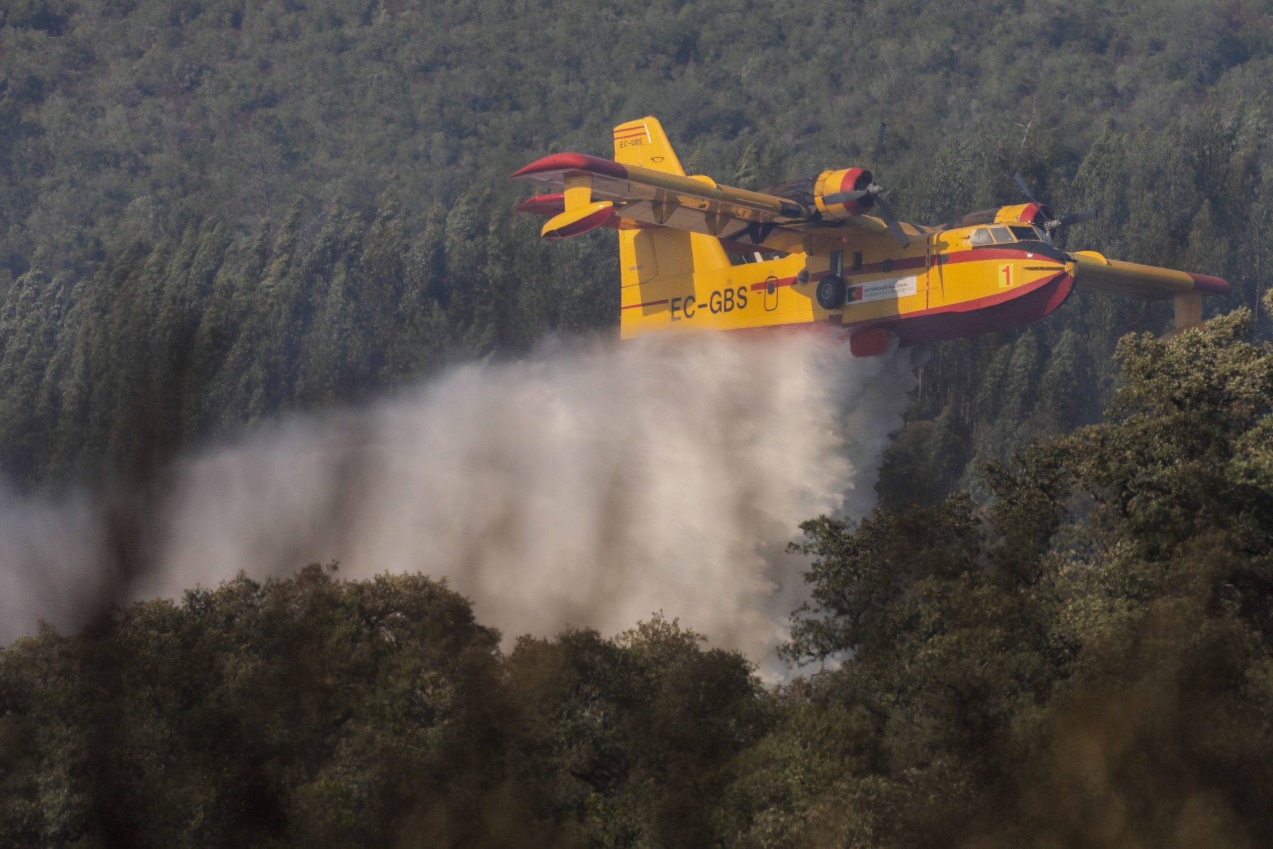 Madeira: aviões Canadair já fazem descargas na cordilheira central