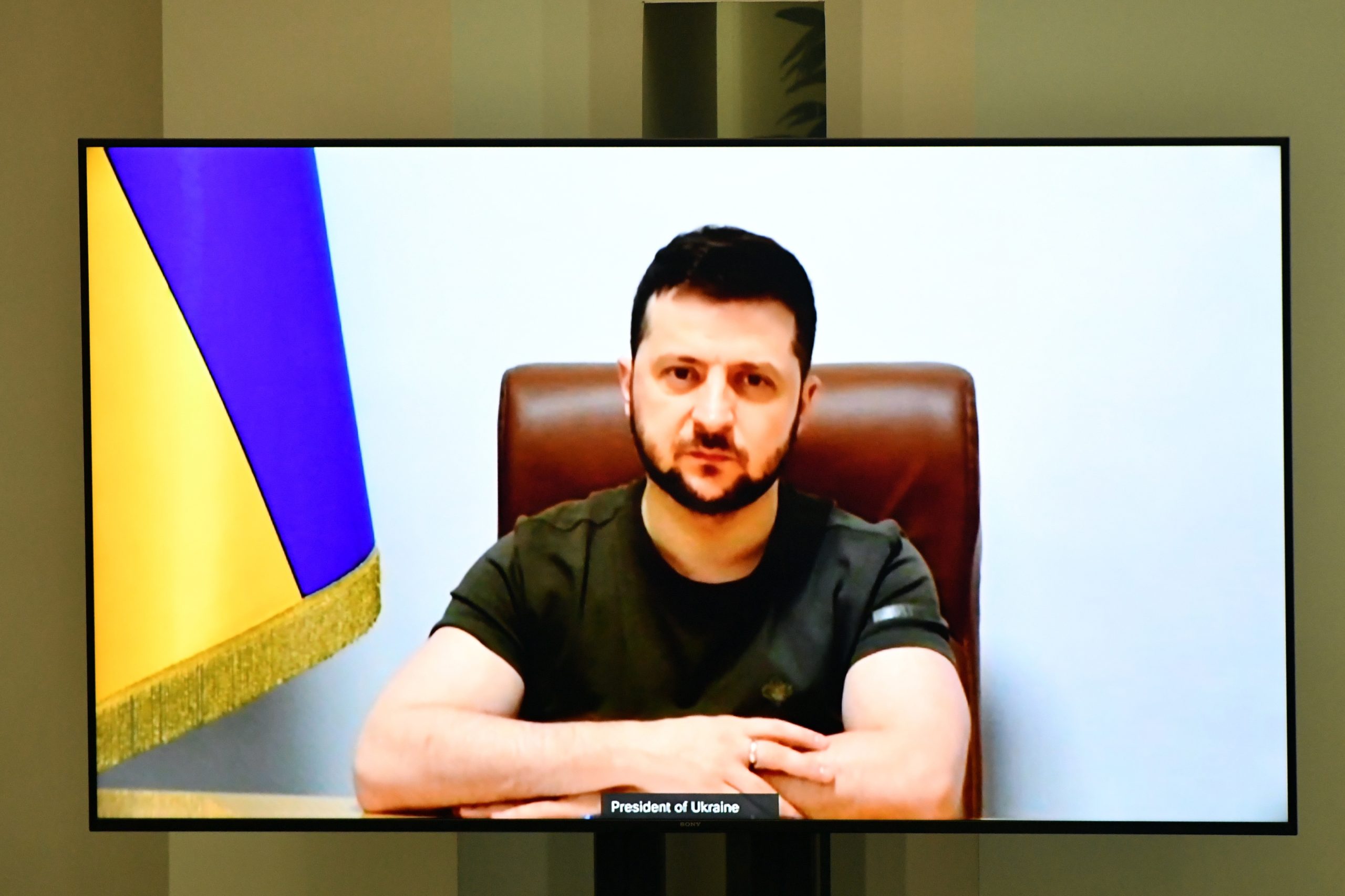 Afinal não foi por unanimidade. PCP votou contra o convite para Zelensky discursar no Parlamento