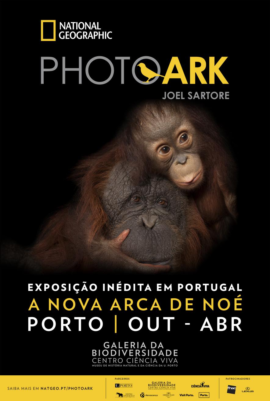 National Geographic inaugura no Porto exposição sobre espécies em perigo