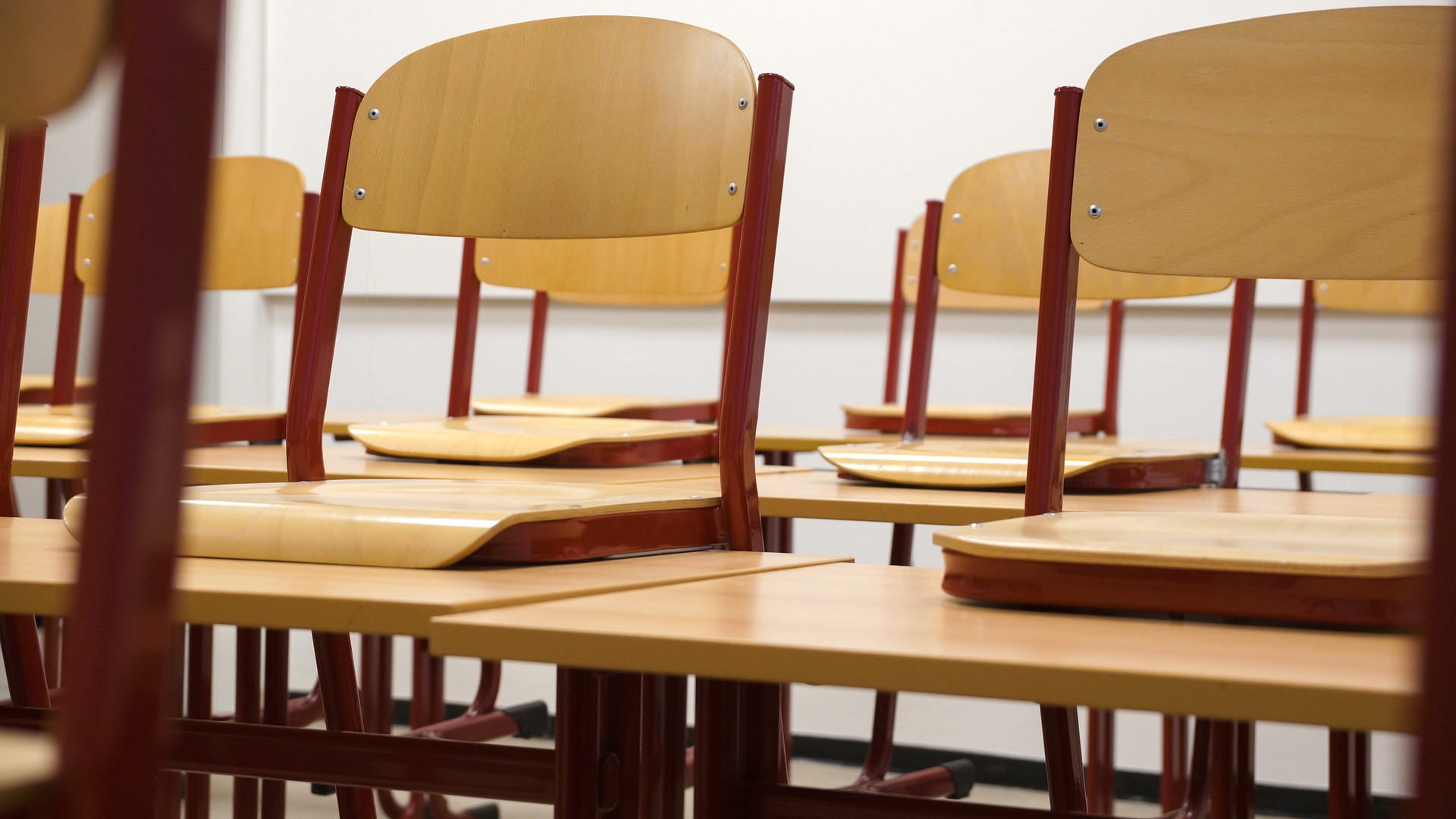 Politécnicos consideram “ótimo resultado” mais 8,4% de alunos
