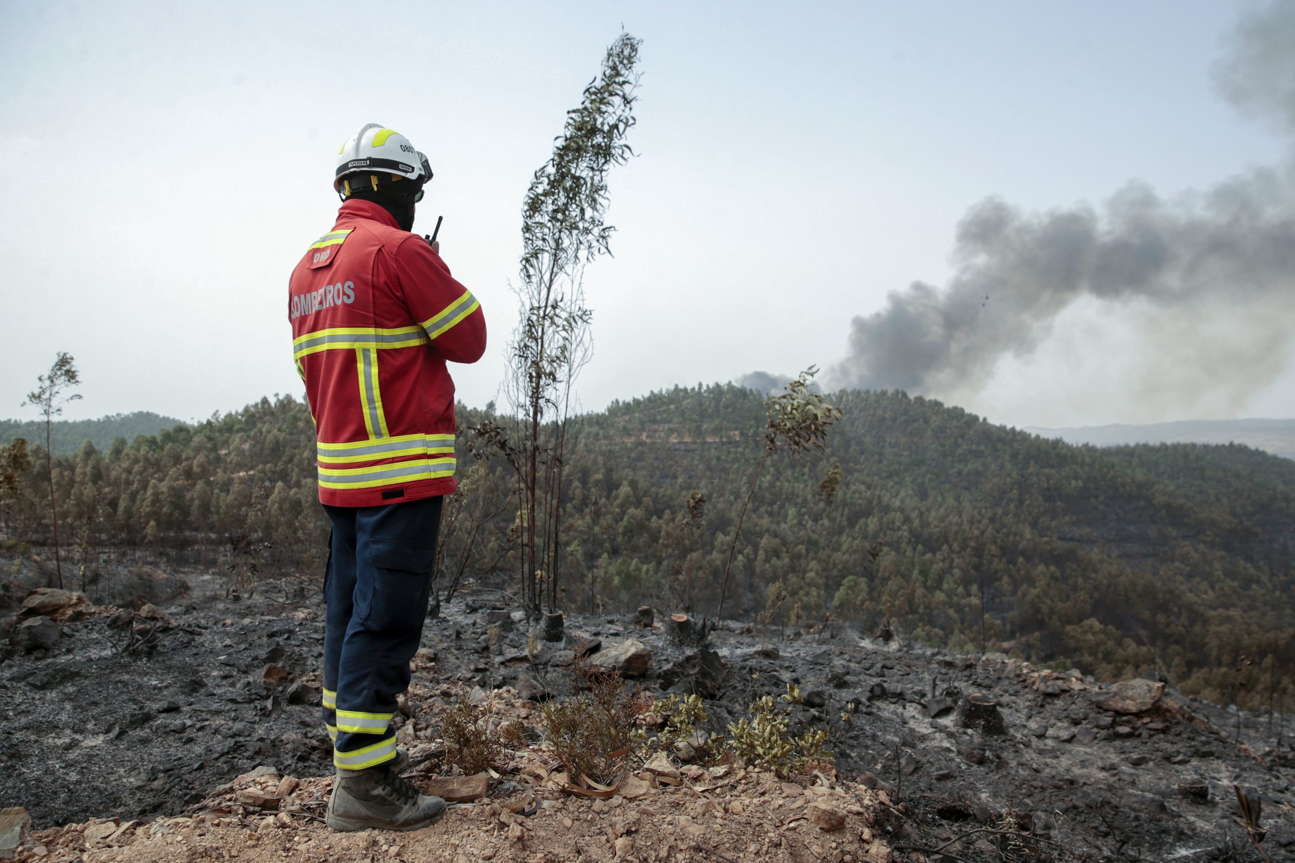 Incêndio: Chamas consomem extensa área de mato em Fafe
