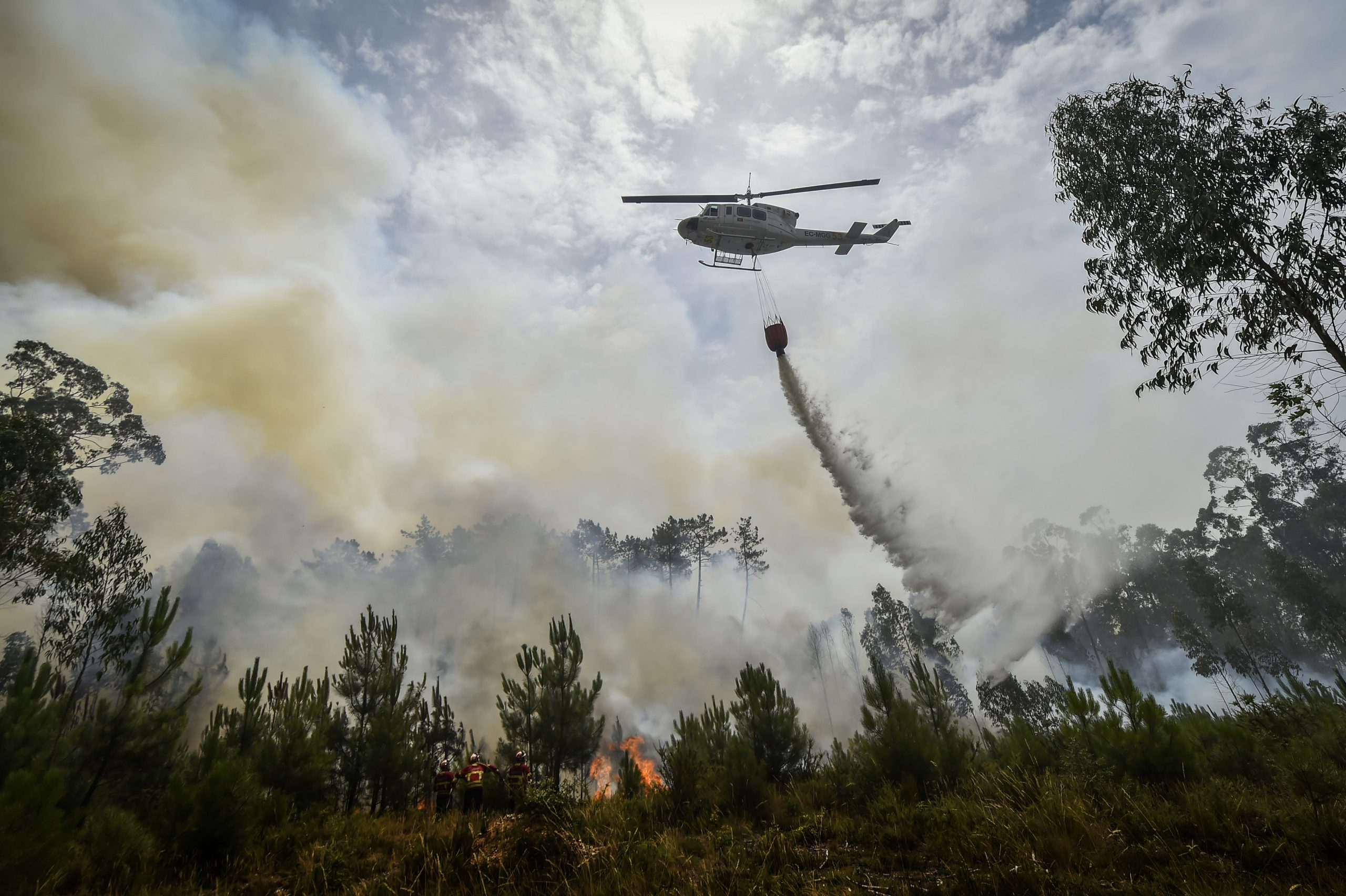 Fogo no concelho de Castelo Branco mobiliza 156 operacionais e seis meios aéreos